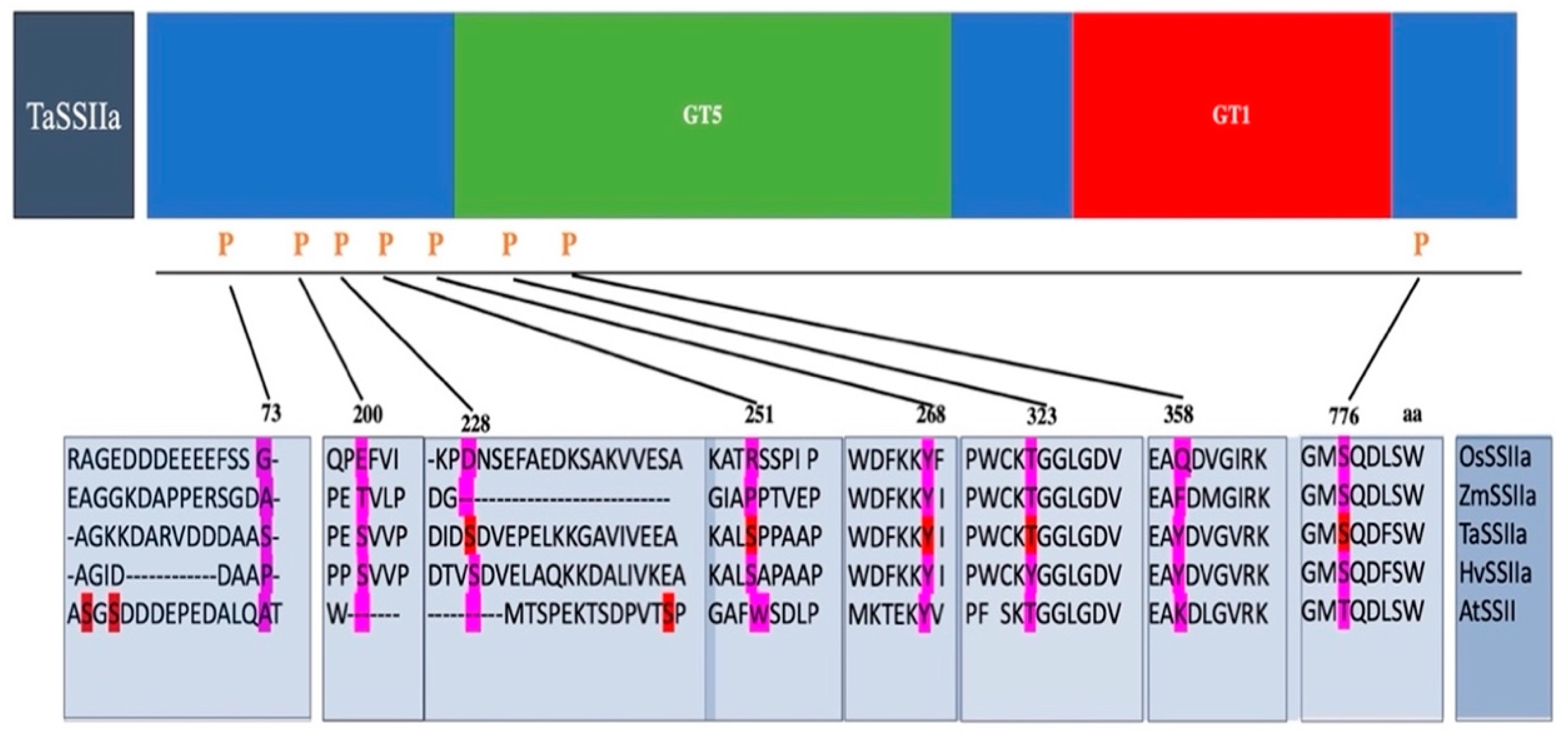 Agronomy 11 01983 g005 Agronomy 11 01983 g005
