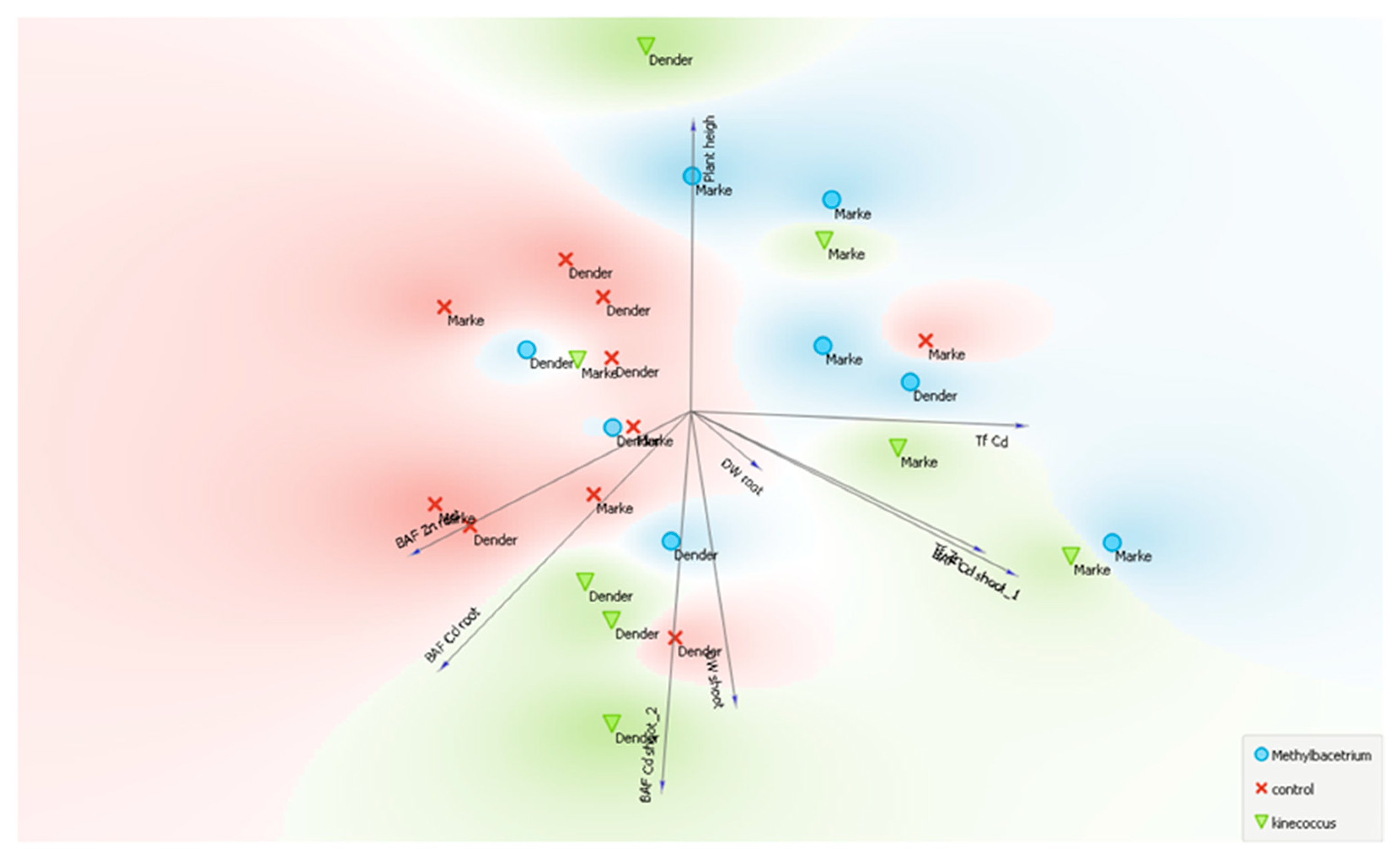 Agronomy 11 01987 g007 550