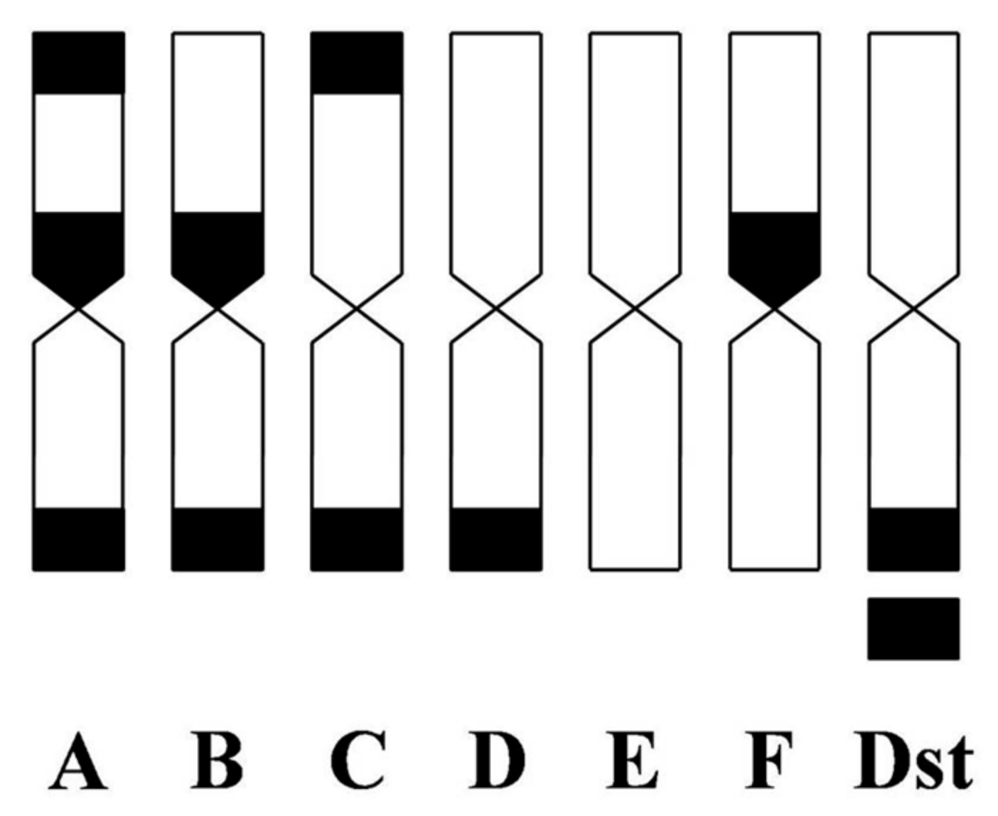 Agronomy 11 01988 g003
