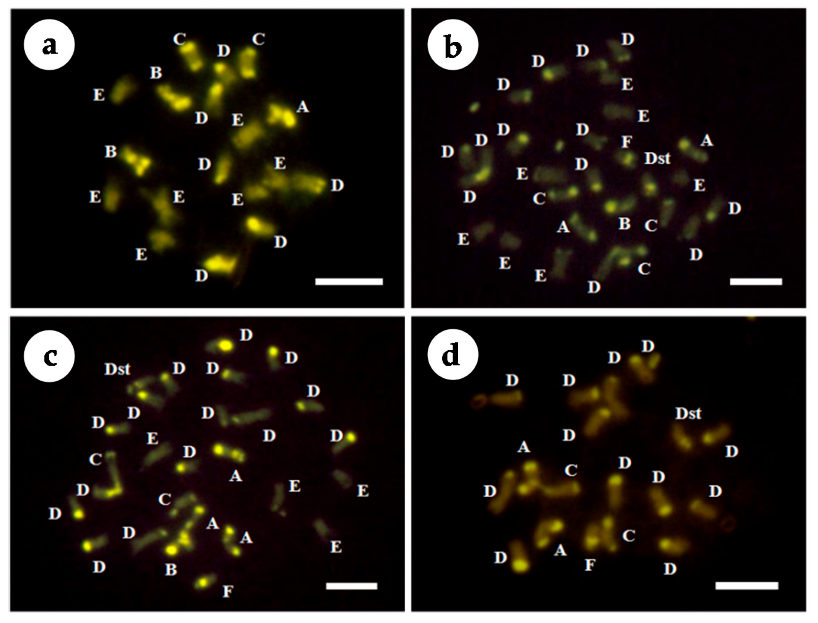 Agronomy 11 01988 g004