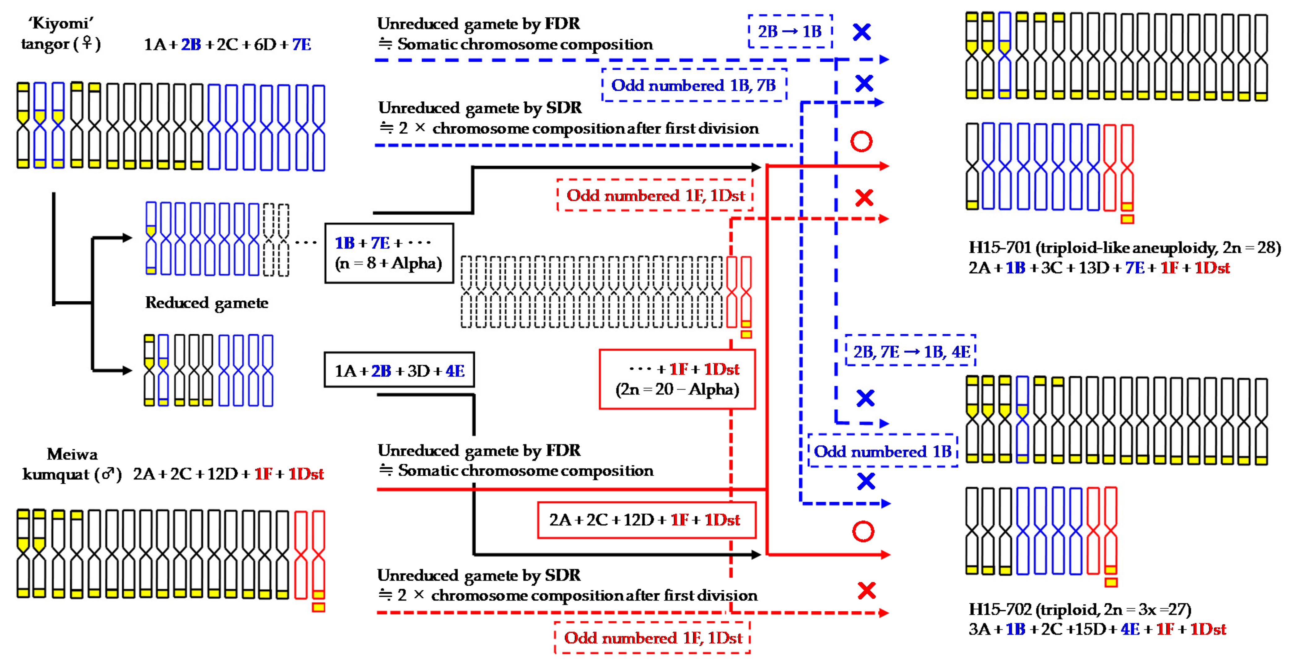 Agronomy 11 01988 g006
