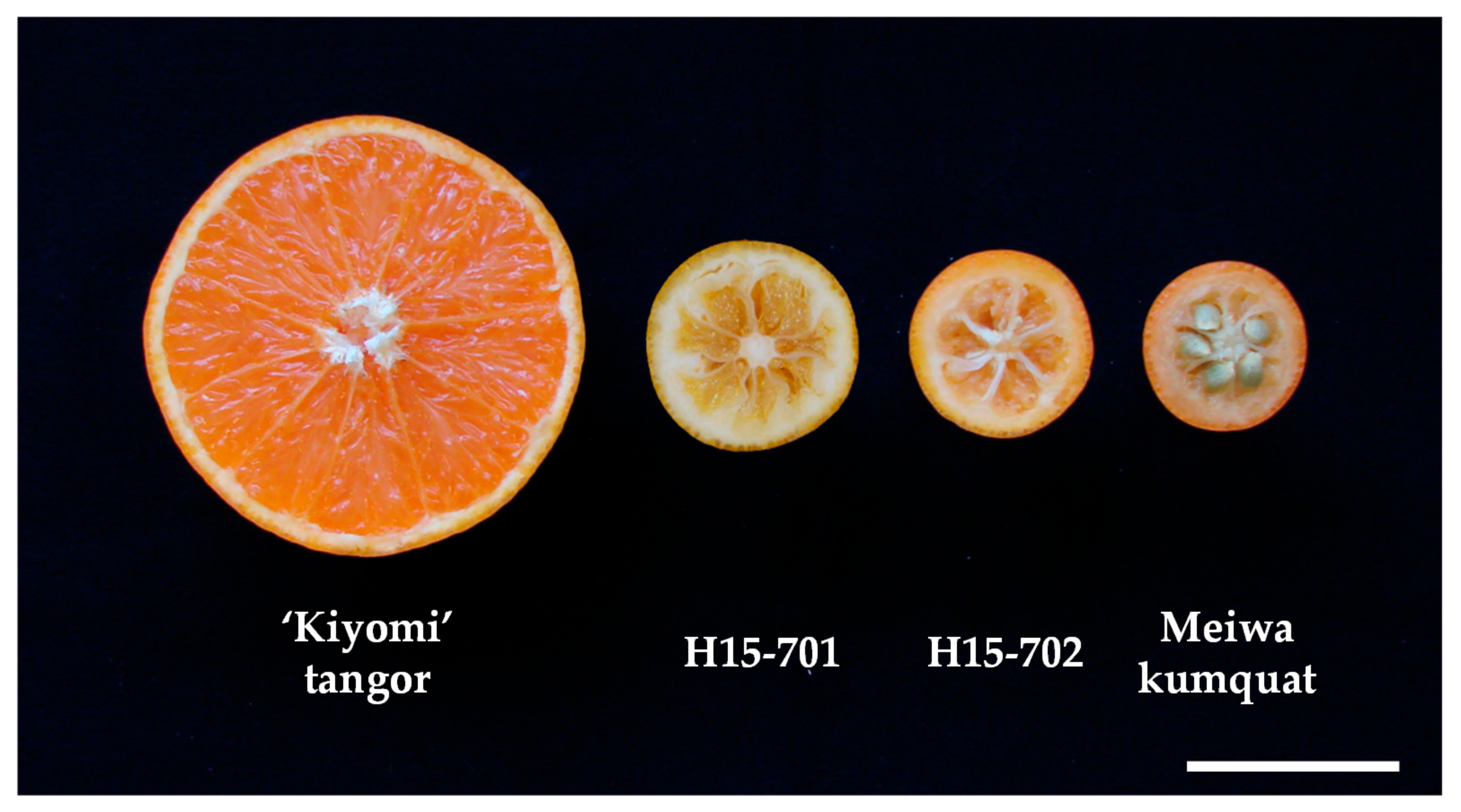 Agronomy 11 01988 g009