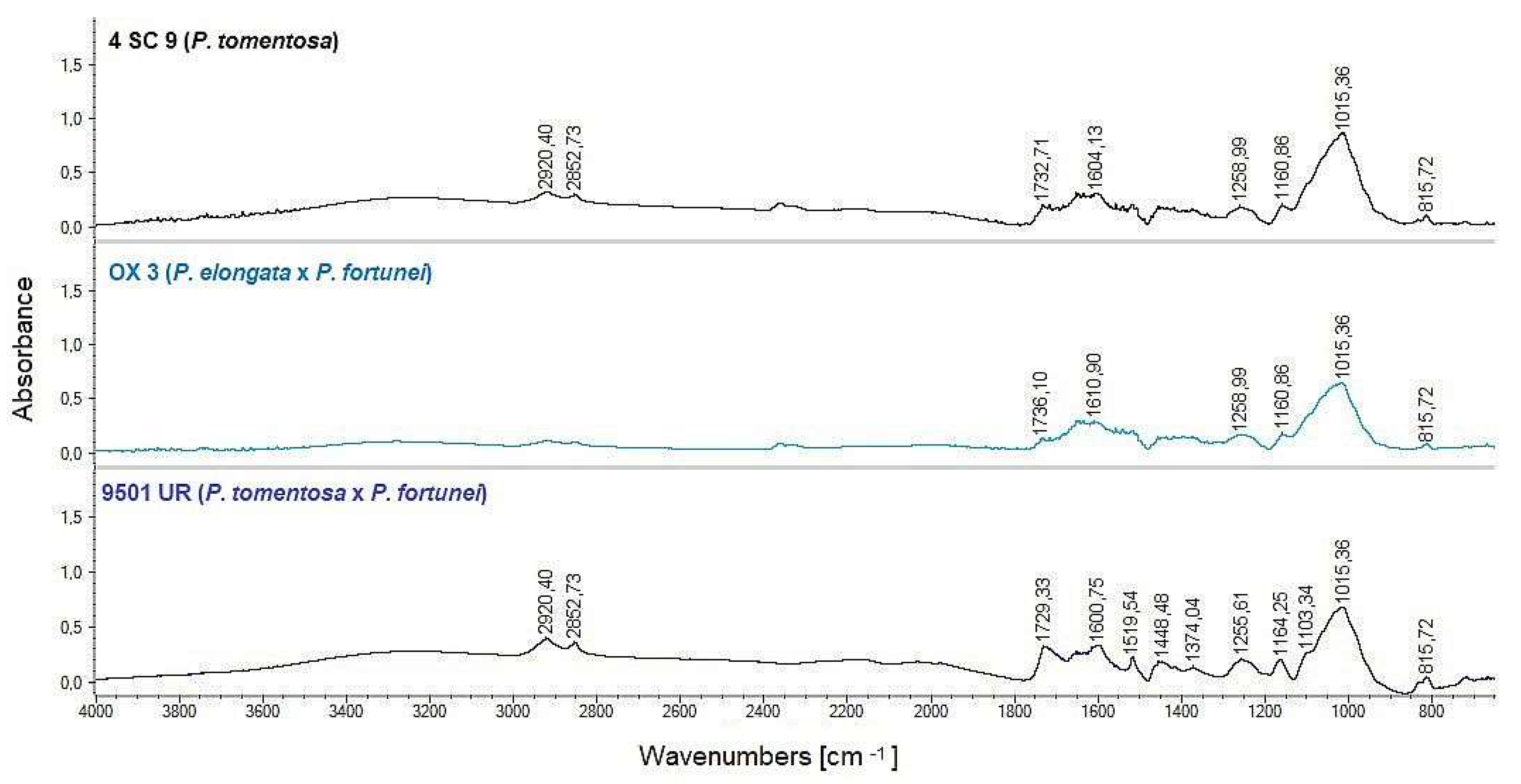Agronomy 11 02001 g002 Agronomy 11 02001 g002