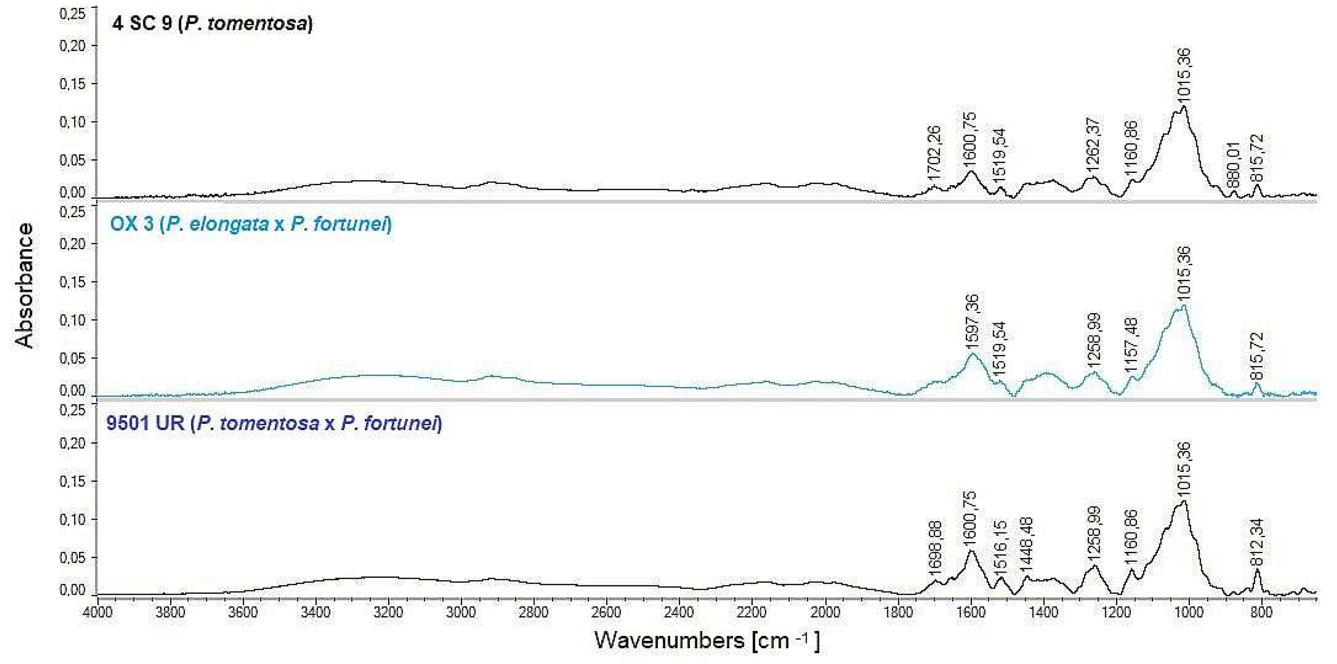 Agronomy 11 02001 g003 Agronomy 11 02001 g003