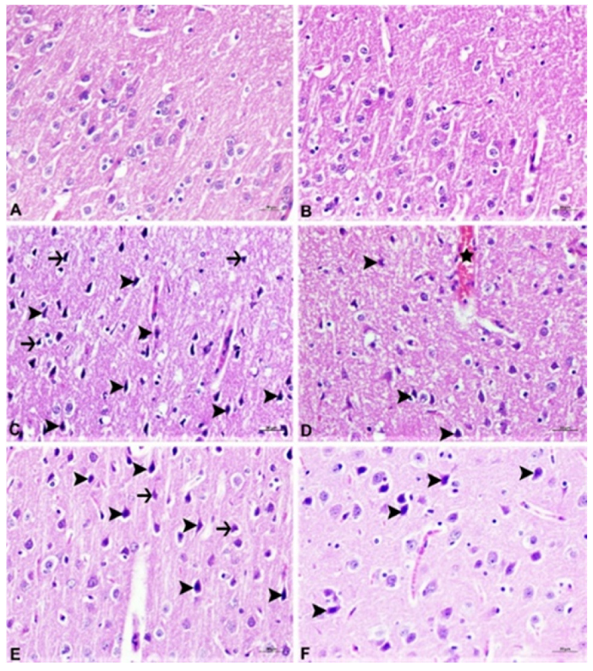 Agronomy 11 02003 g001