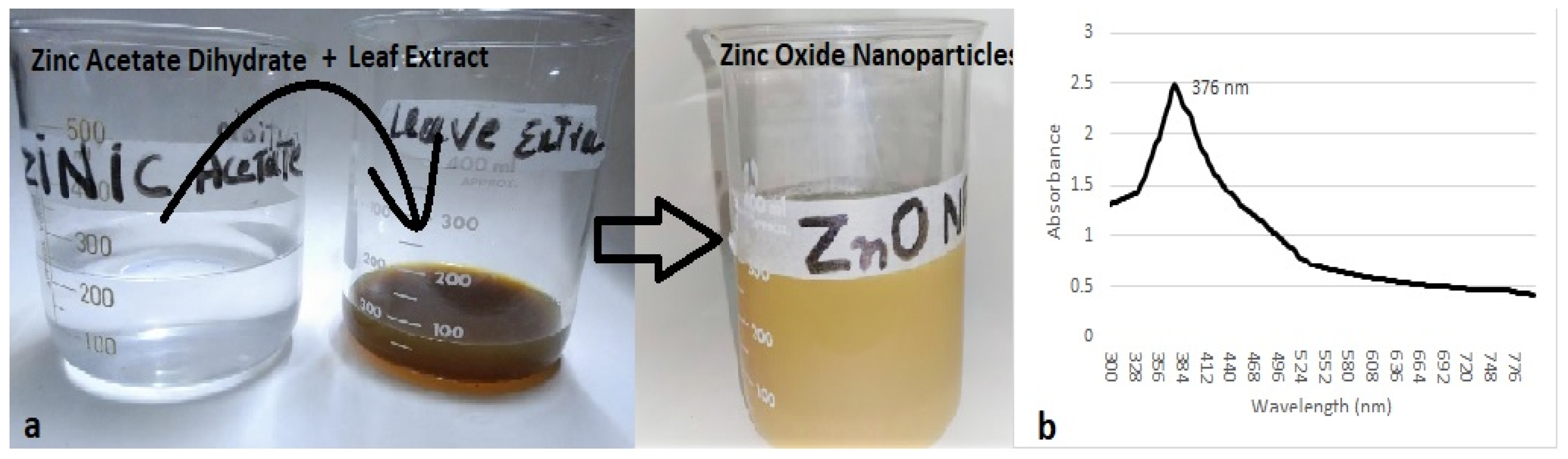 Agronomy 11 02004 g002 550