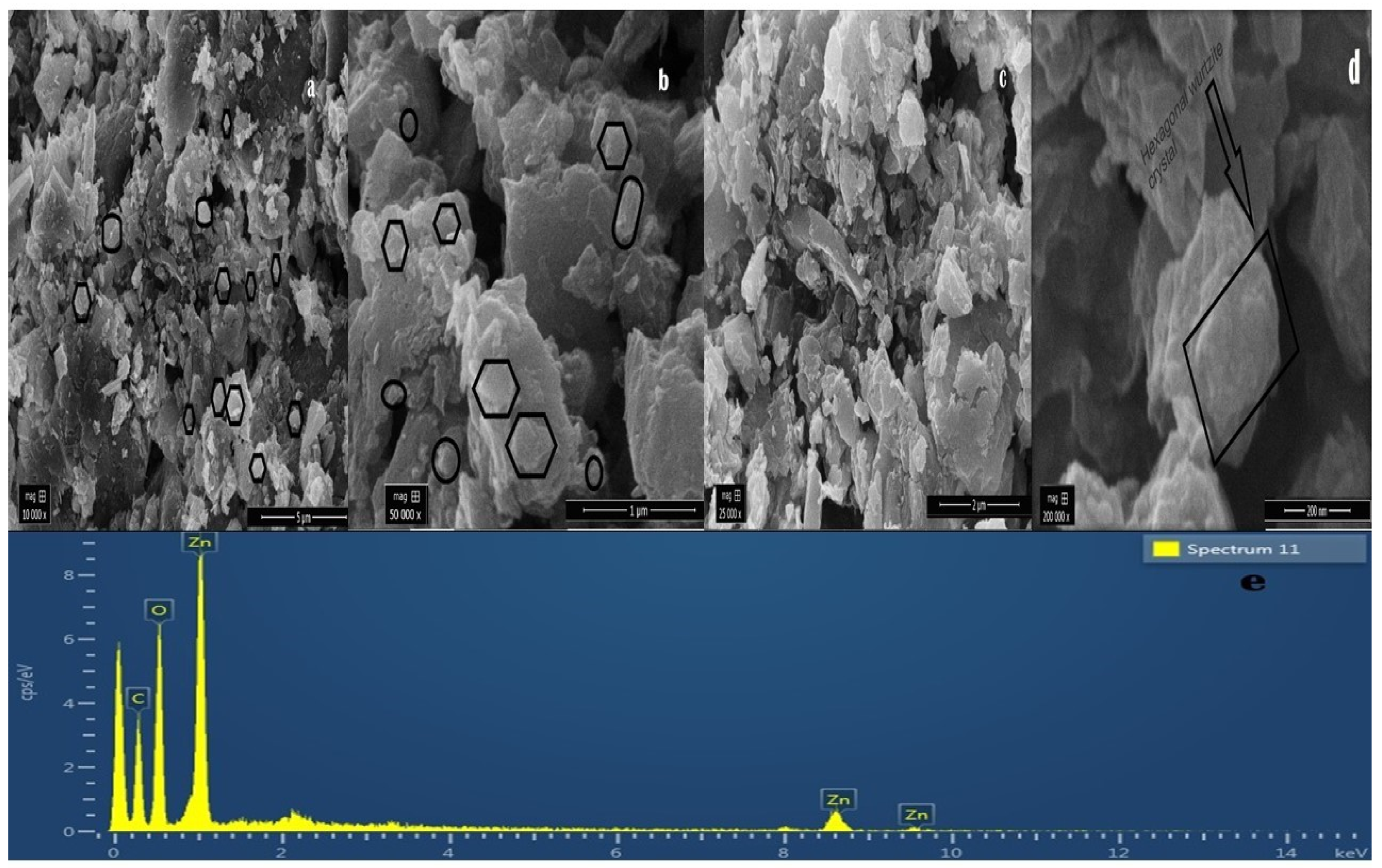 Agronomy 11 02004 g004 550