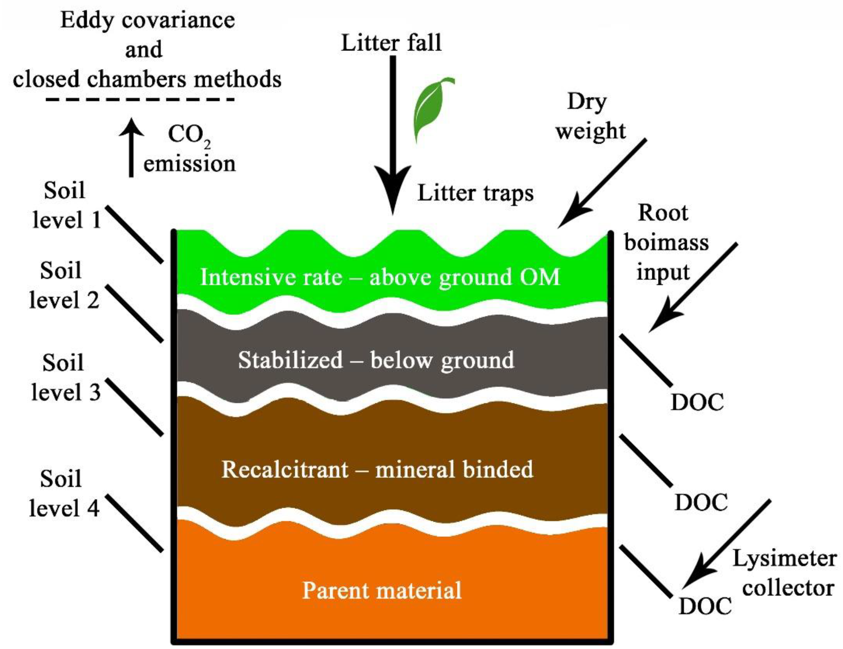 Agronomy 11 02013 g003