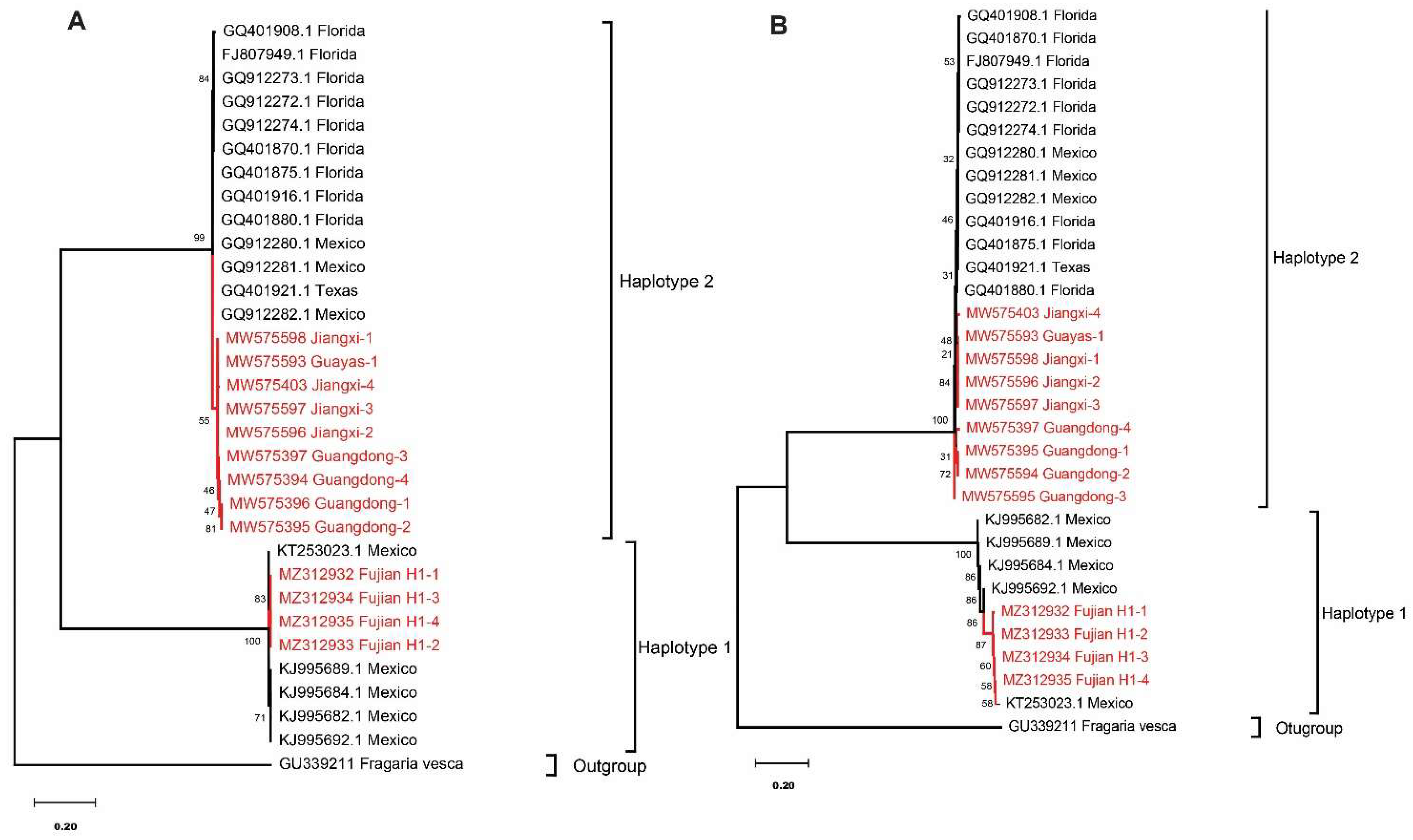 Agronomy 11 02018 g003