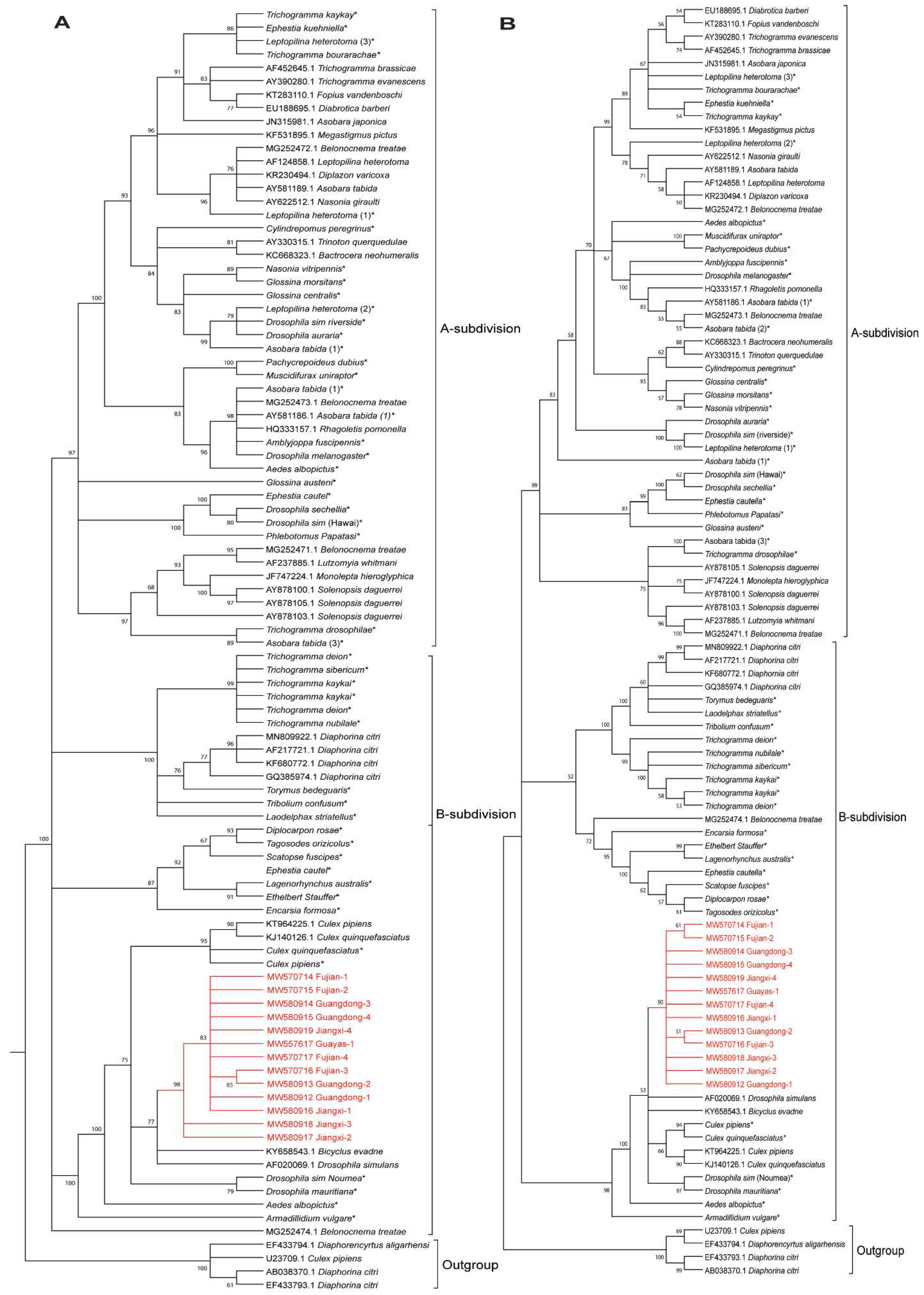 Agronomy 11 02018 g004