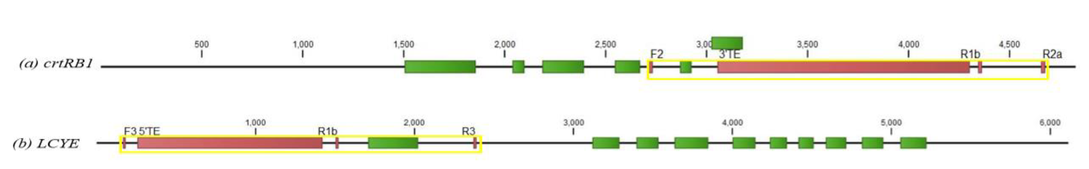 Agronomy 11 02022 g001 550