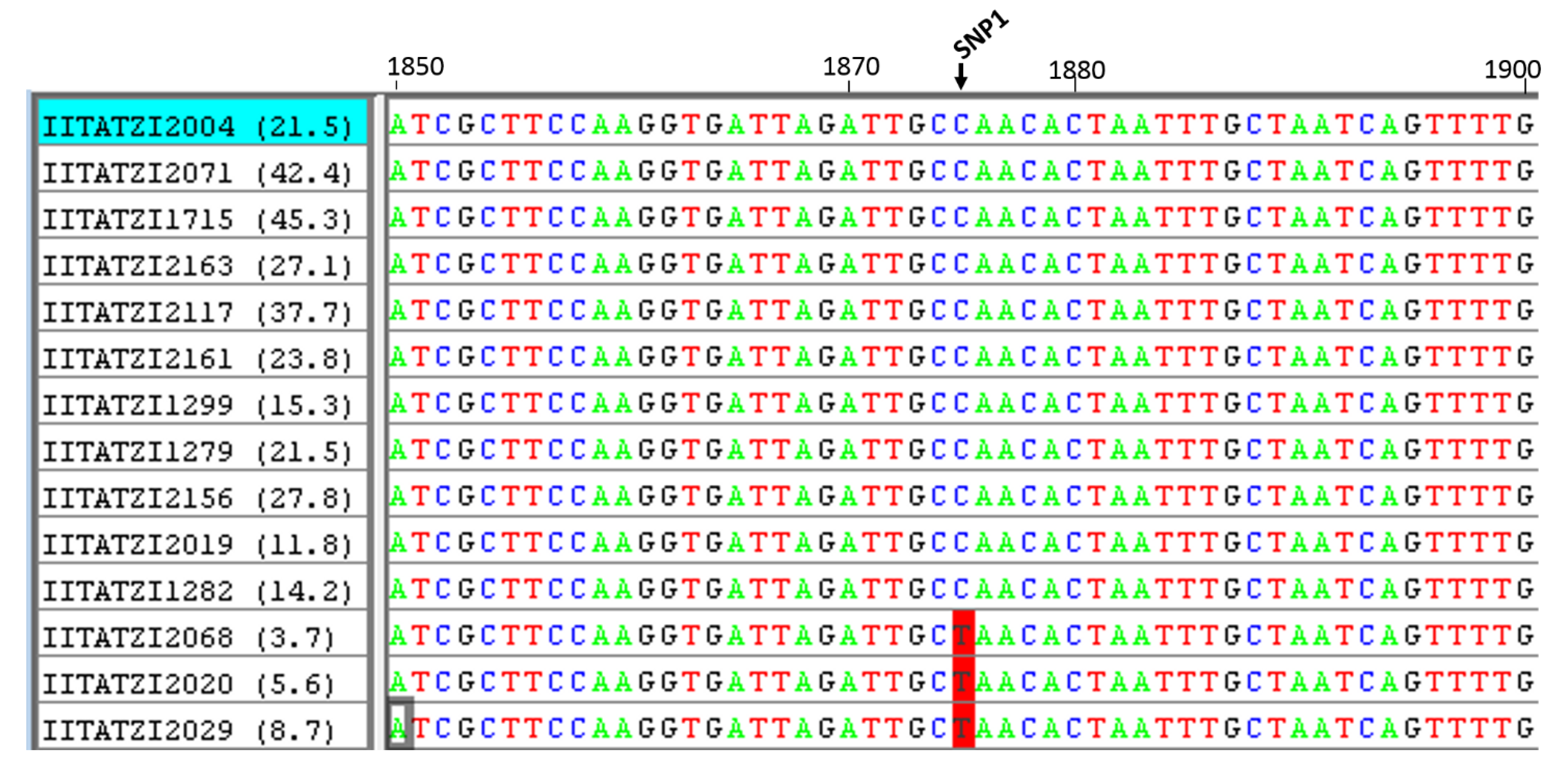 Agronomy 11 02022 g004 550