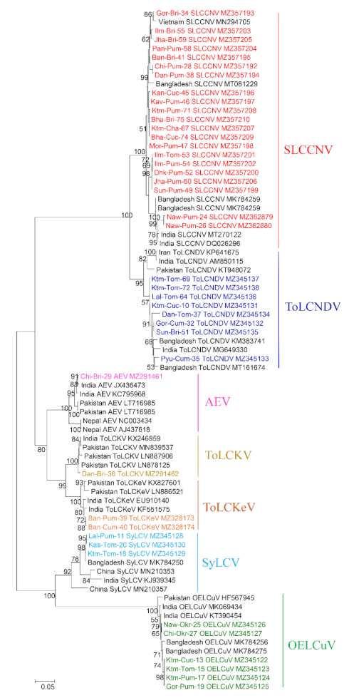 Agronomy 11 02032 g002 Agronomy 11 02032 g002