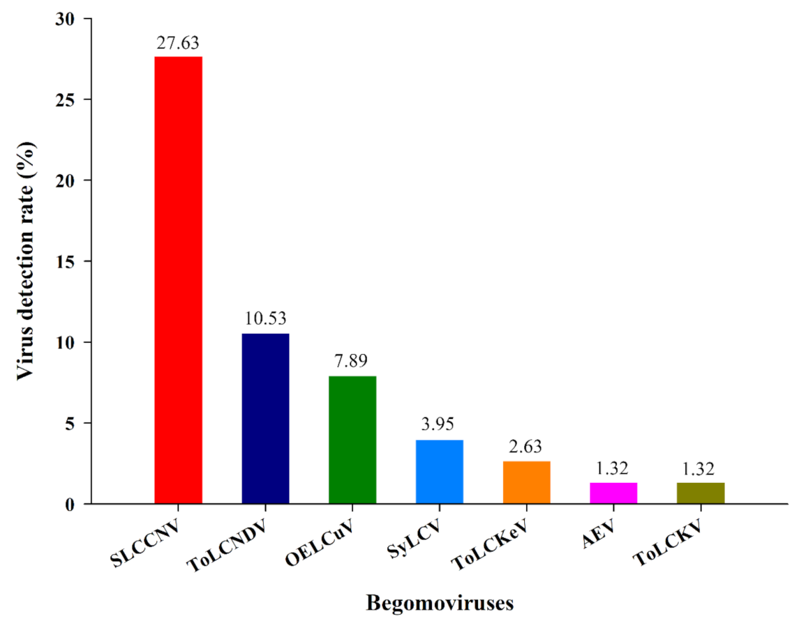 Agronomy 11 02032 g003 Agronomy 11 02032 g003