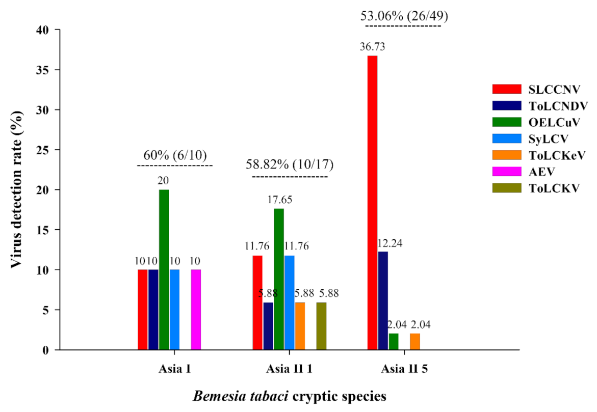 Agronomy 11 02032 g004 Agronomy 11 02032 g004
