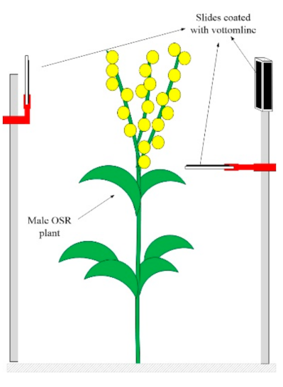 Agronomy 11 02035 g003