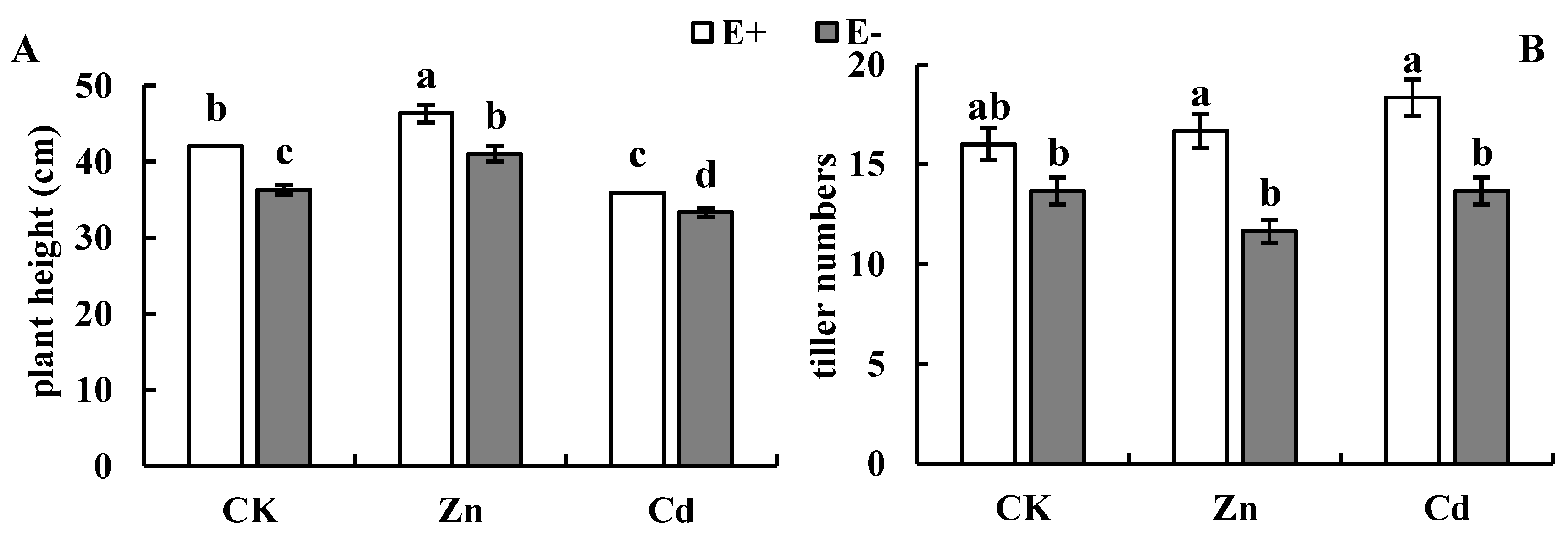 Agronomy 11 02049 g001
