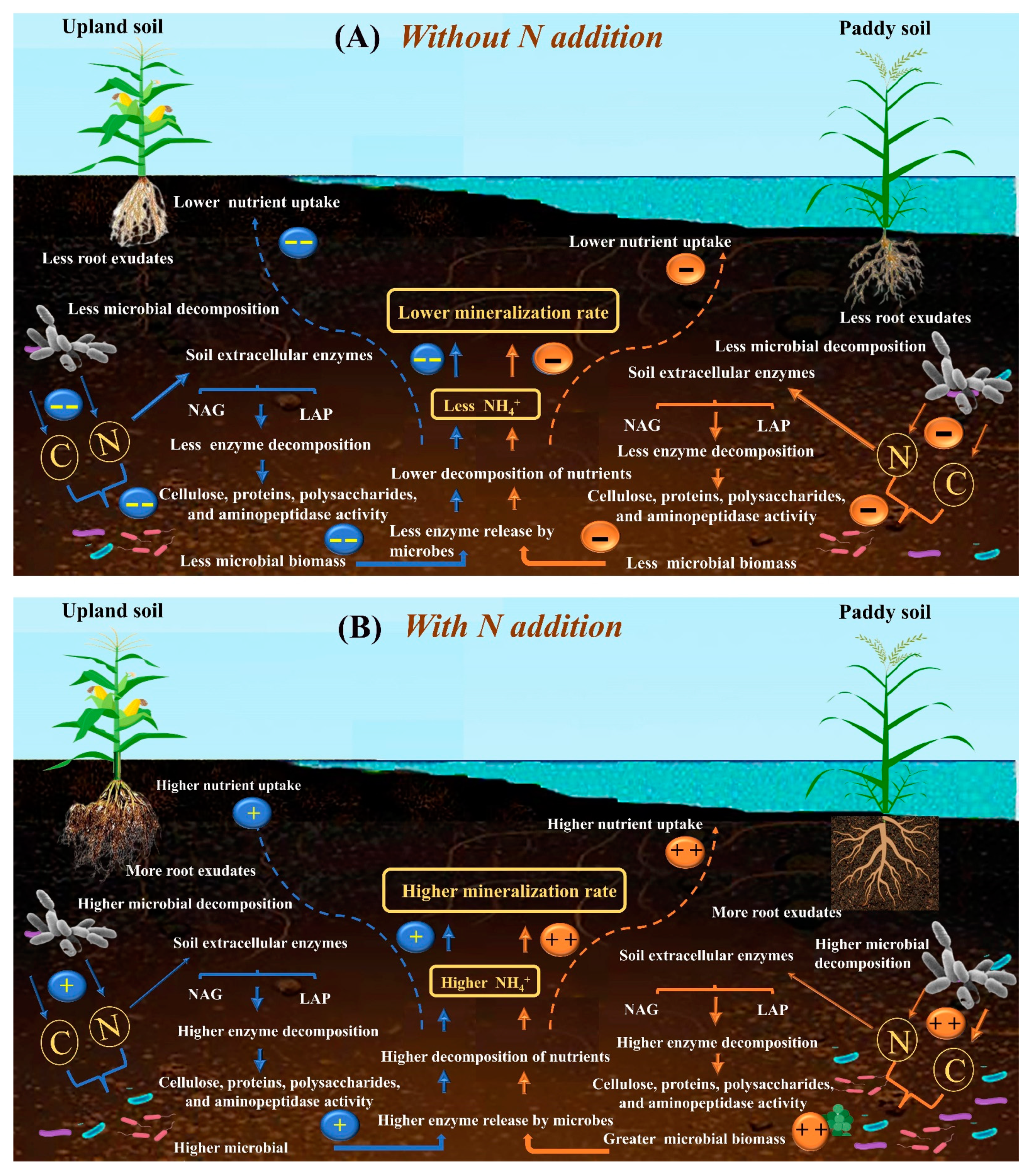 Agronomy 11 02057 g007