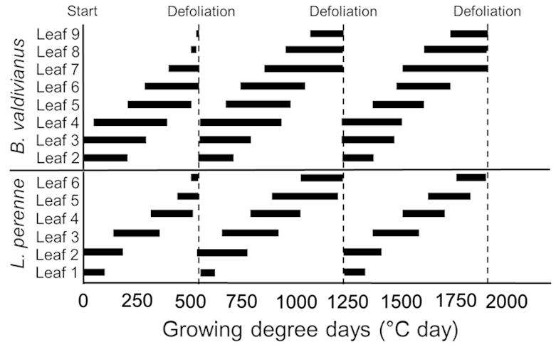 Agronomy 11 02058 g002