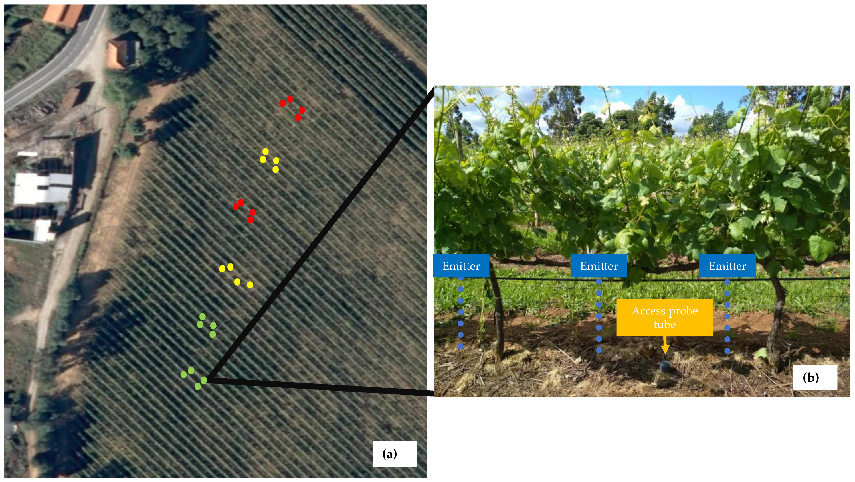 Agronomy 11 02062 g002