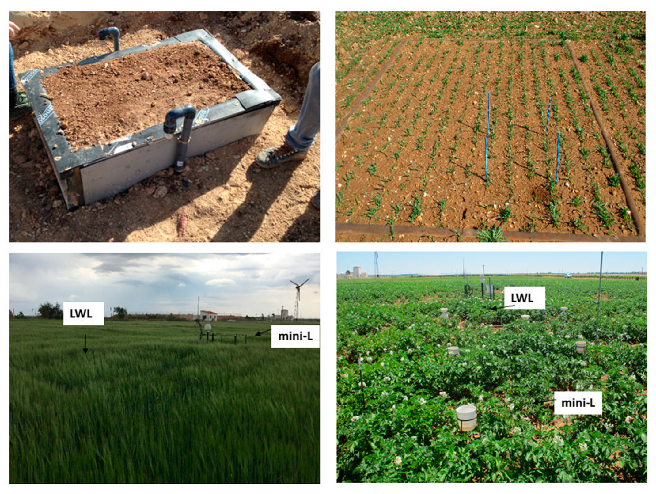 Agronomy 11 02067 g001