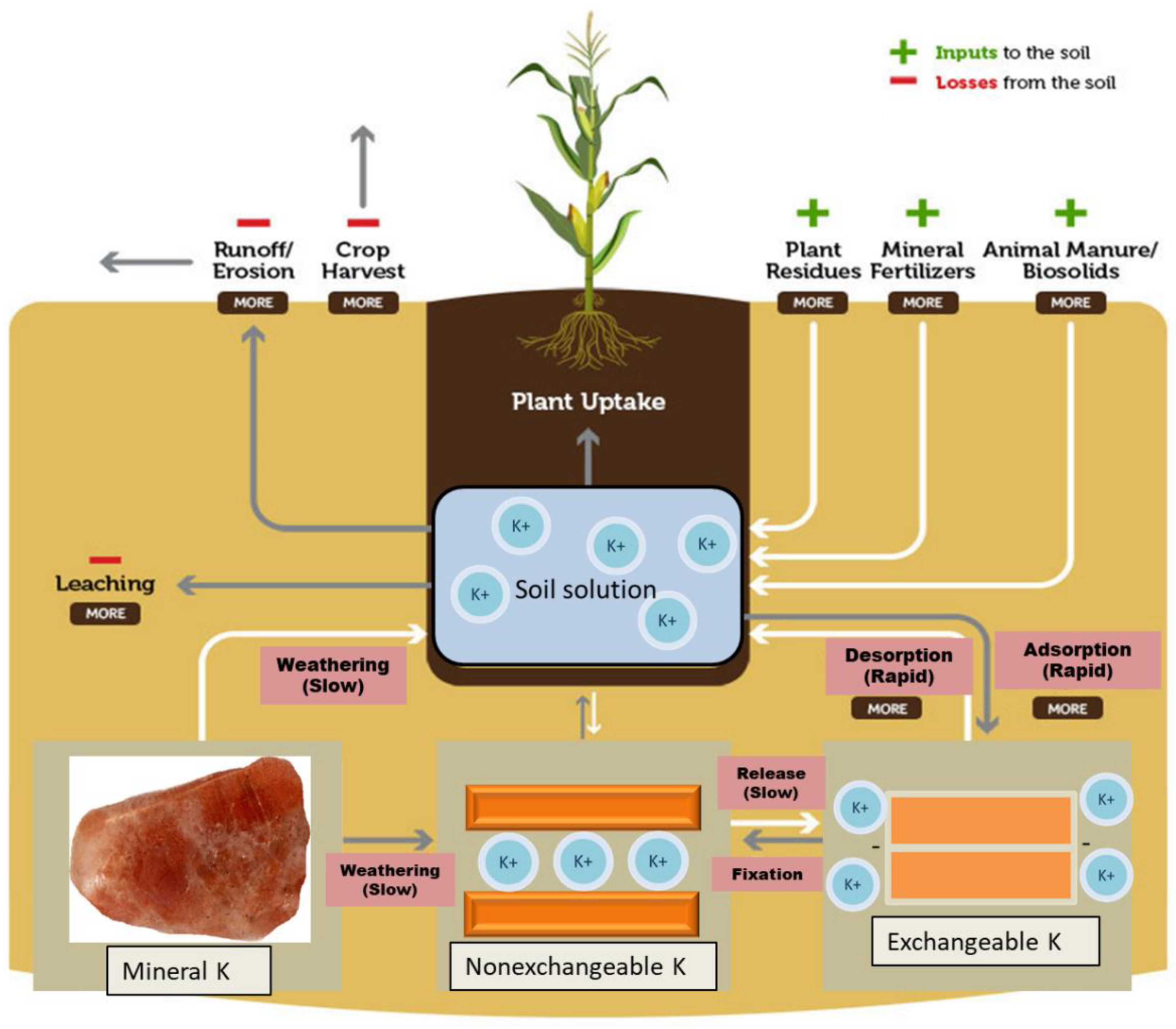Agronomy 11 02081 g003 550