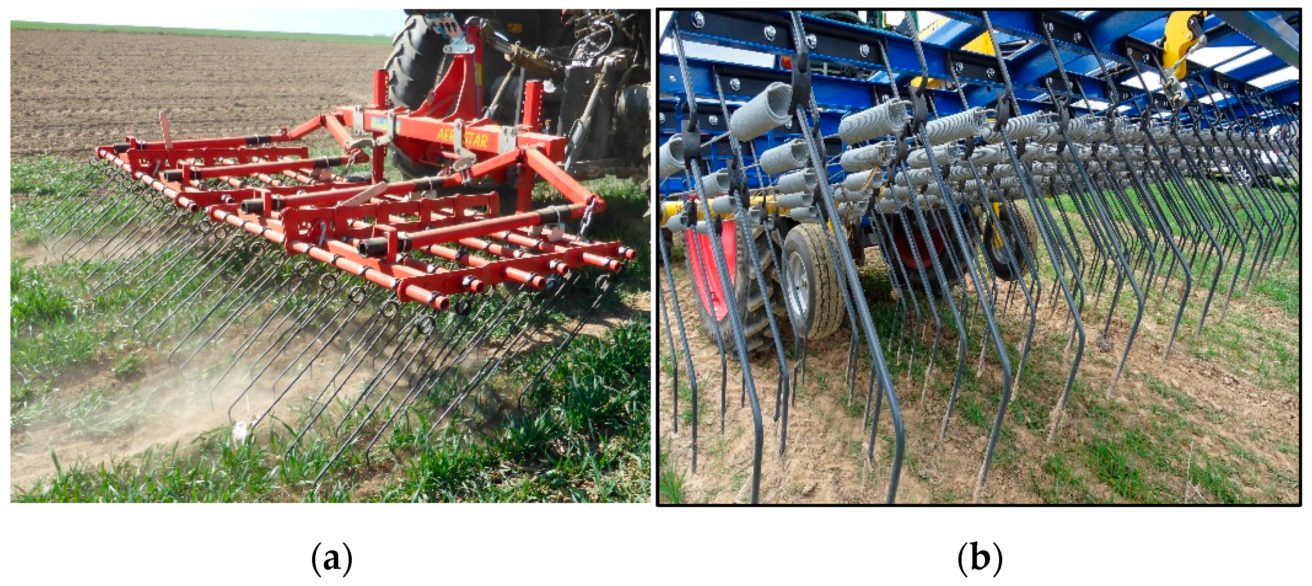 Agronomy 11 02084 g001 550