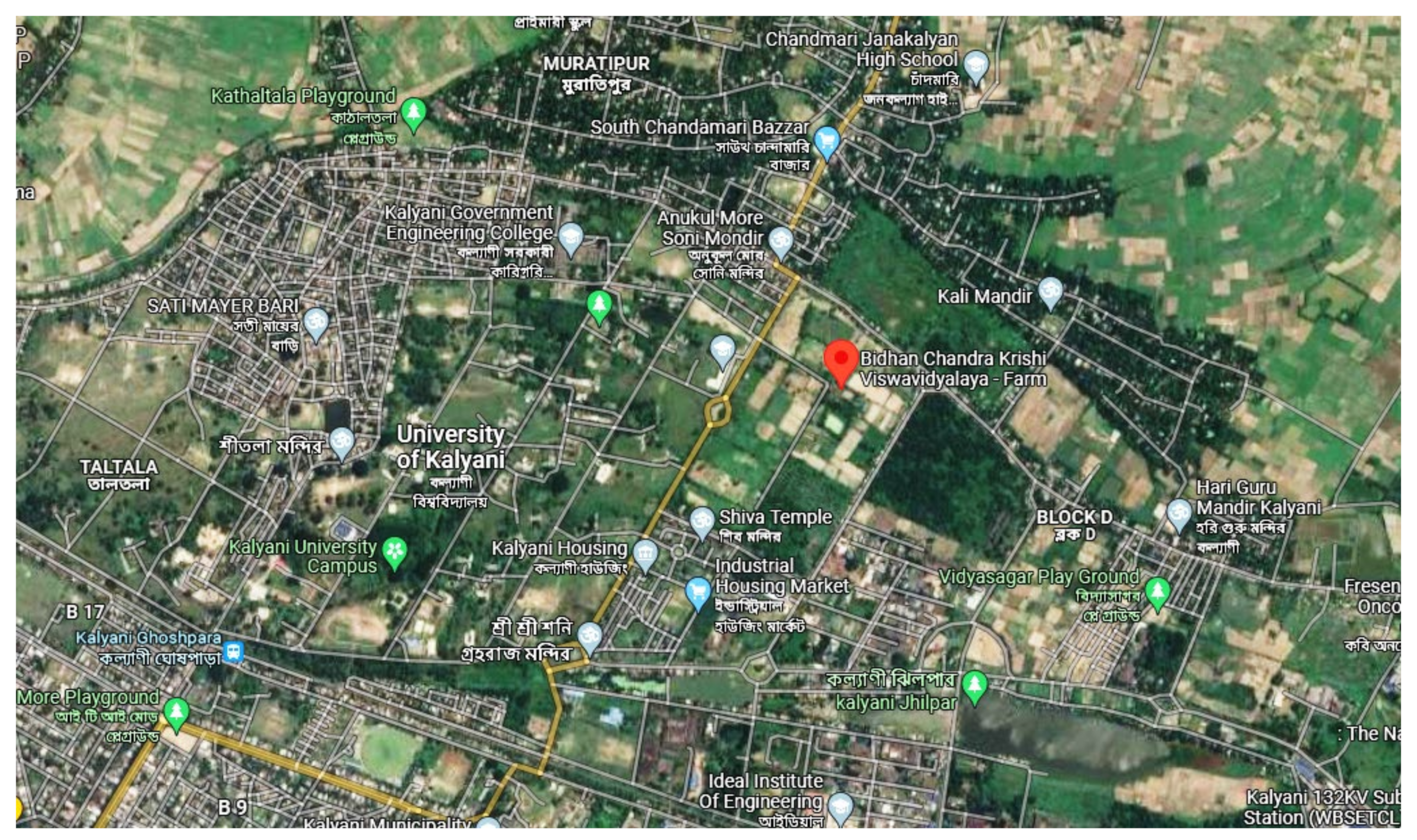 Agronomy 11 02087 g001