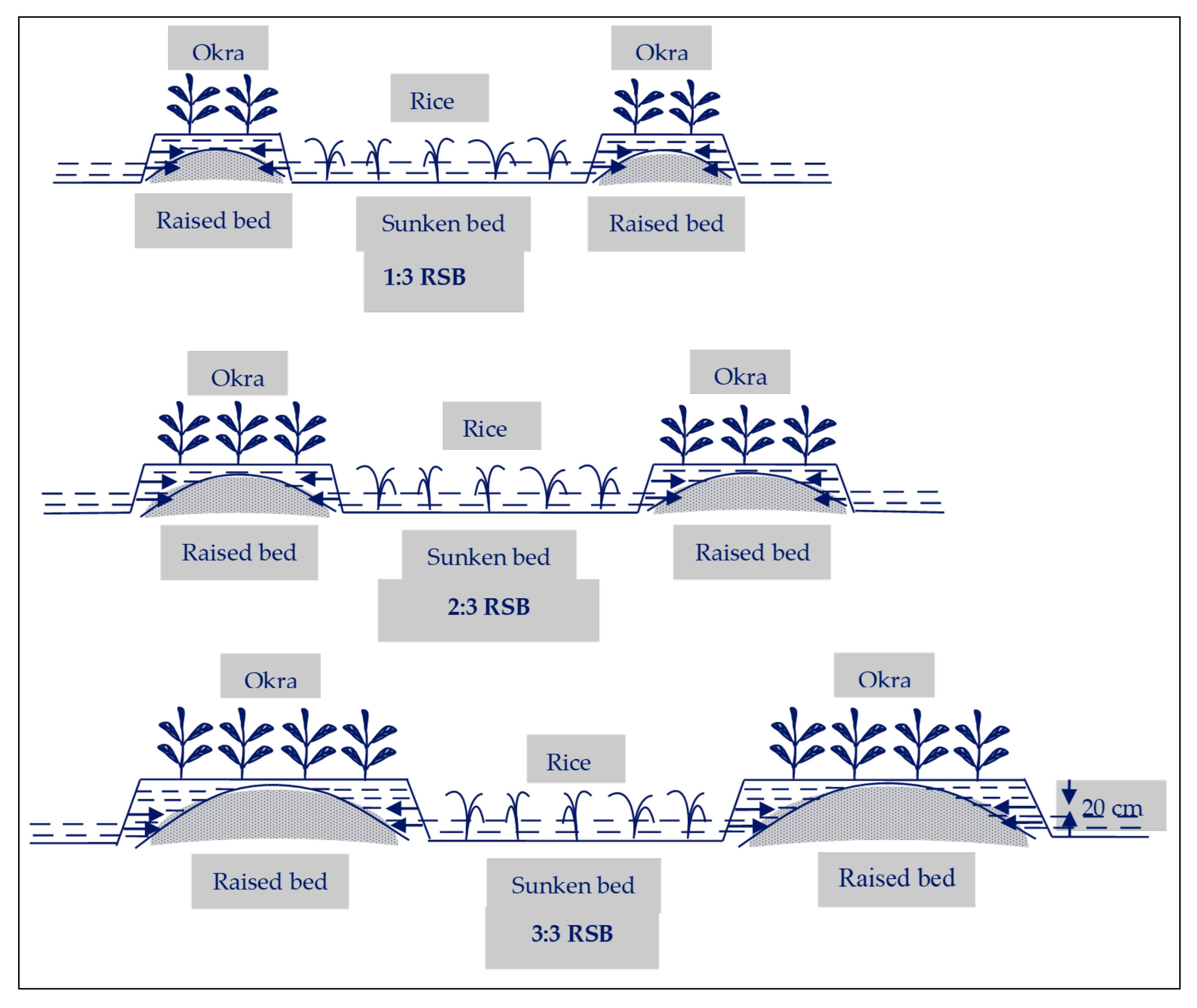 Agronomy 11 02087 g003