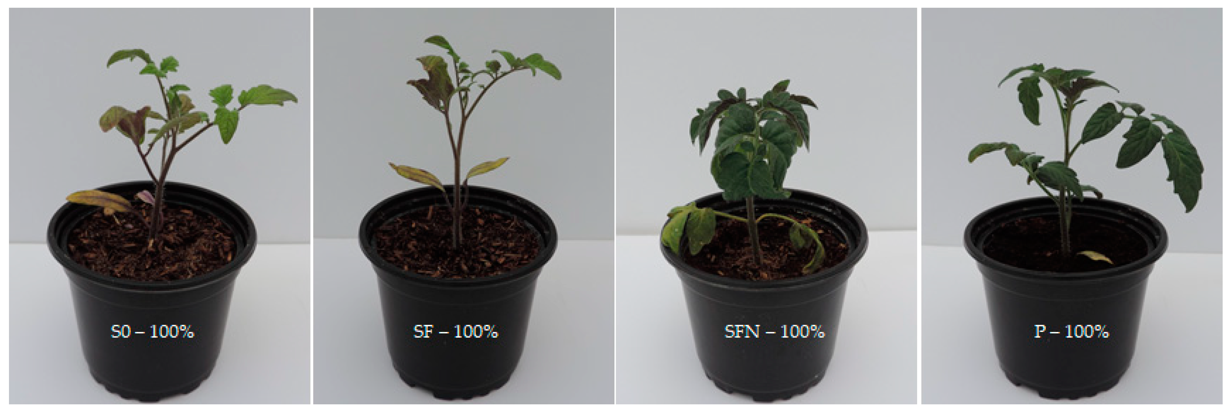 Agronomy 11 02089 g002 550