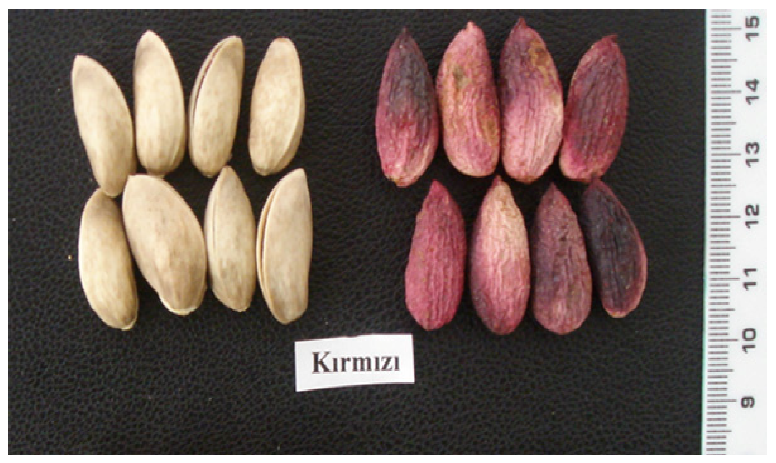 Agronomy 11 02115 g001