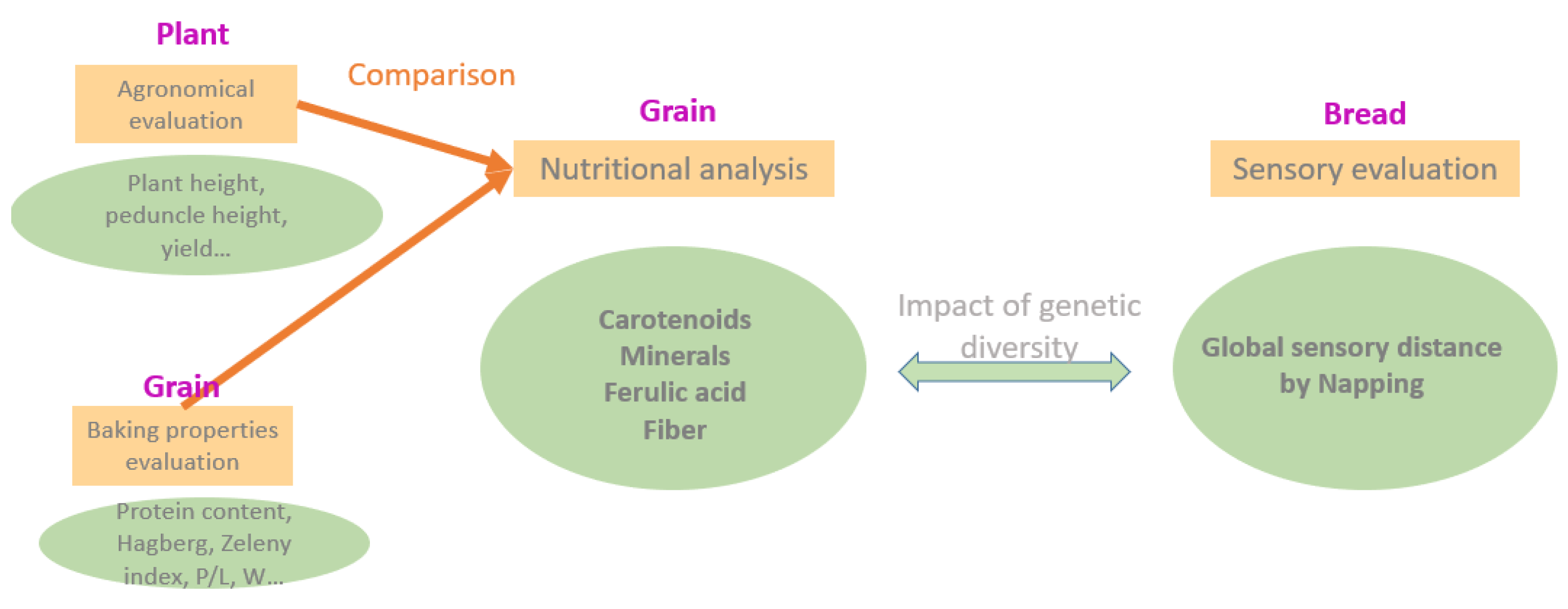 Agronomy 11 02117 g001