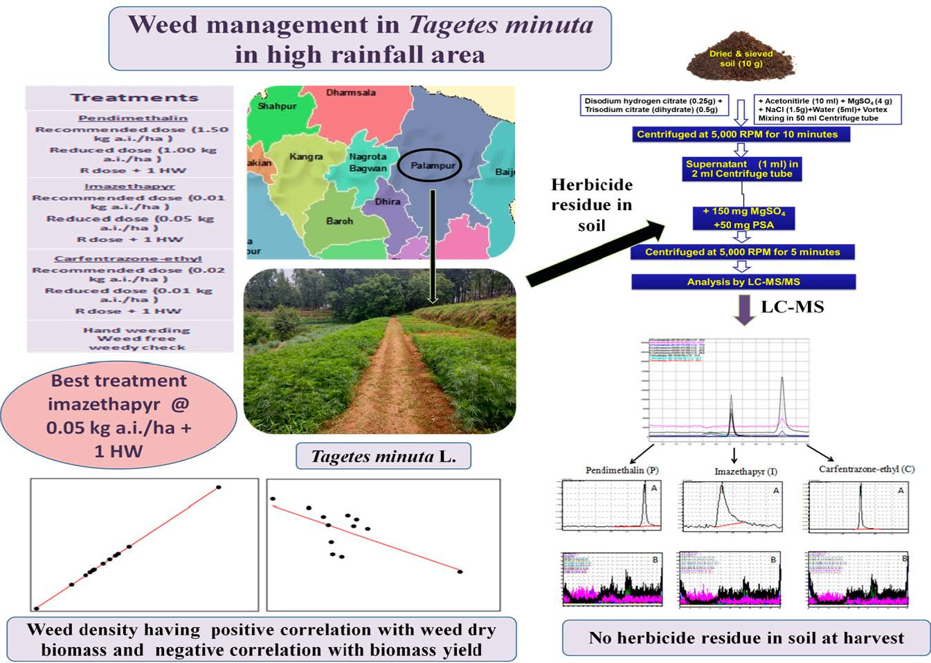 Agronomy Free Full Text Efficacy Of Weed Management Techniques On Weed Control Biomass Yield And Soil Herbicide Residue In Transplanted Wild Marigold etes Minuta L Under High Rainfall Conditions Of Western