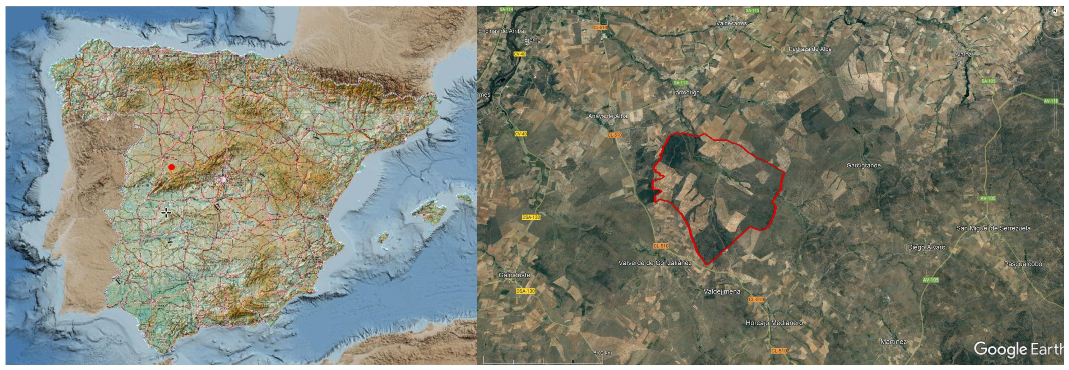 Agronomy 11 02120 g001 550