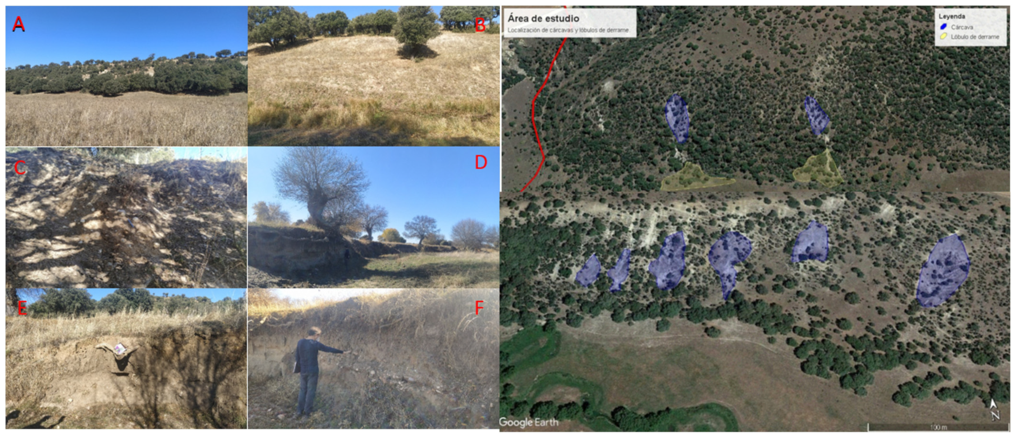 Agronomy 11 02120 g004 550