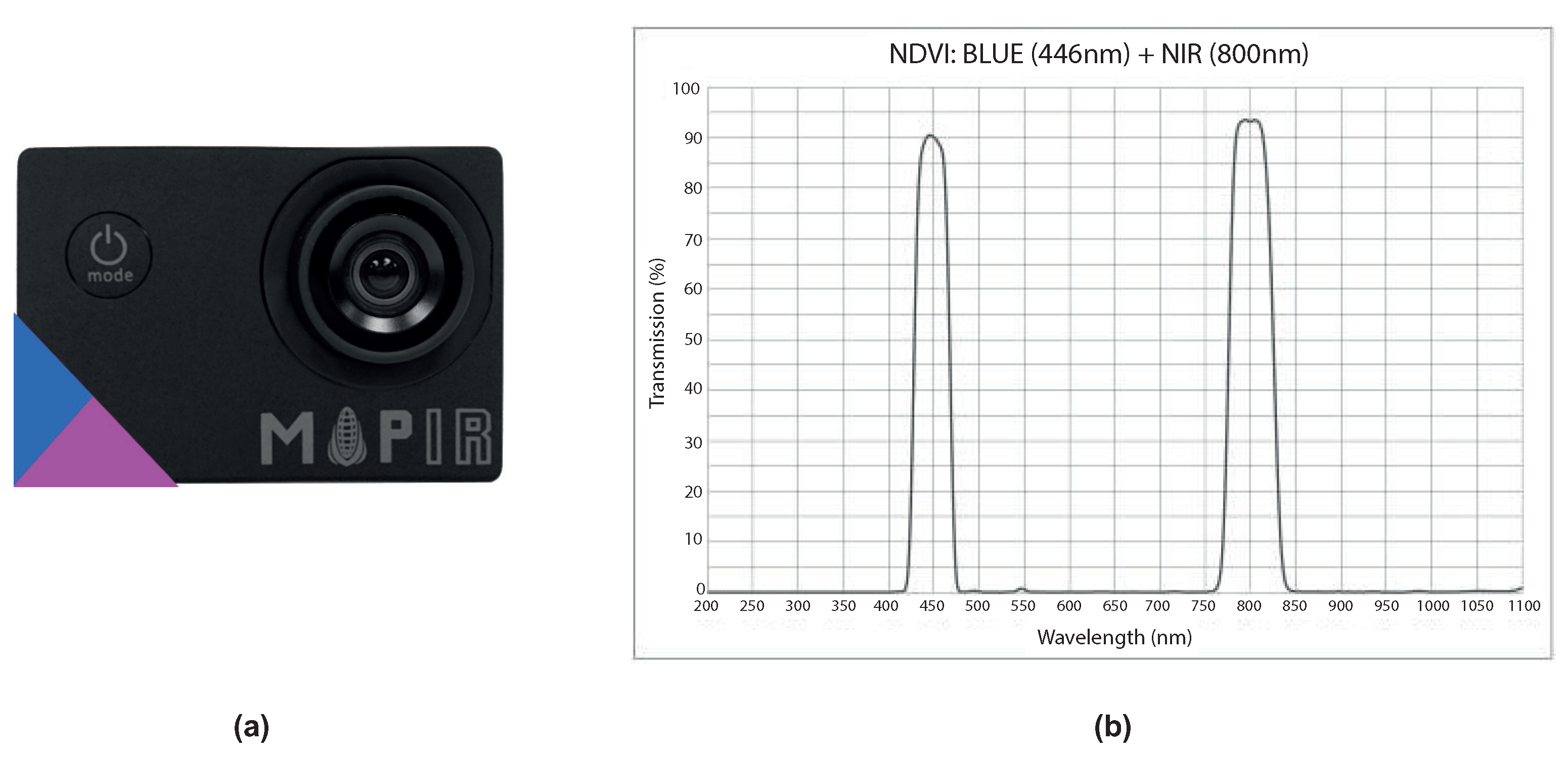 Agronomy 11 02140 g008 550