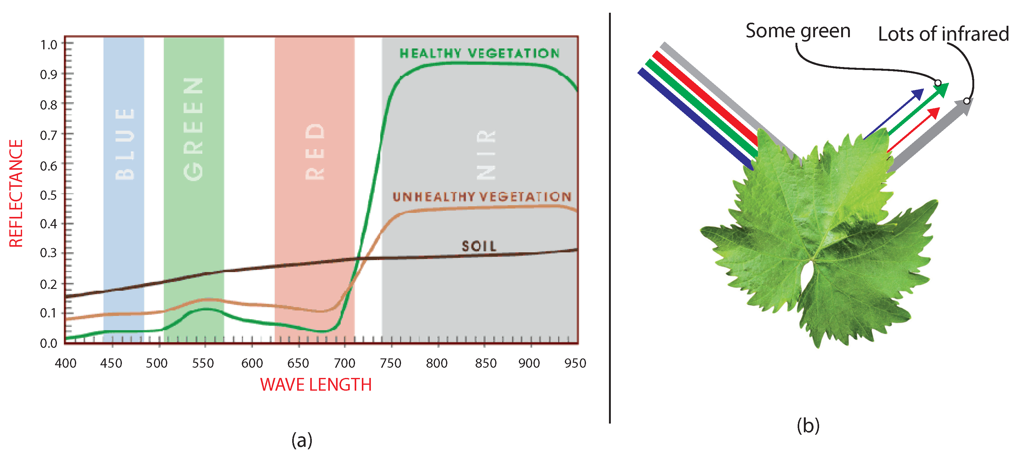 Agronomy 11 02140 g009 550