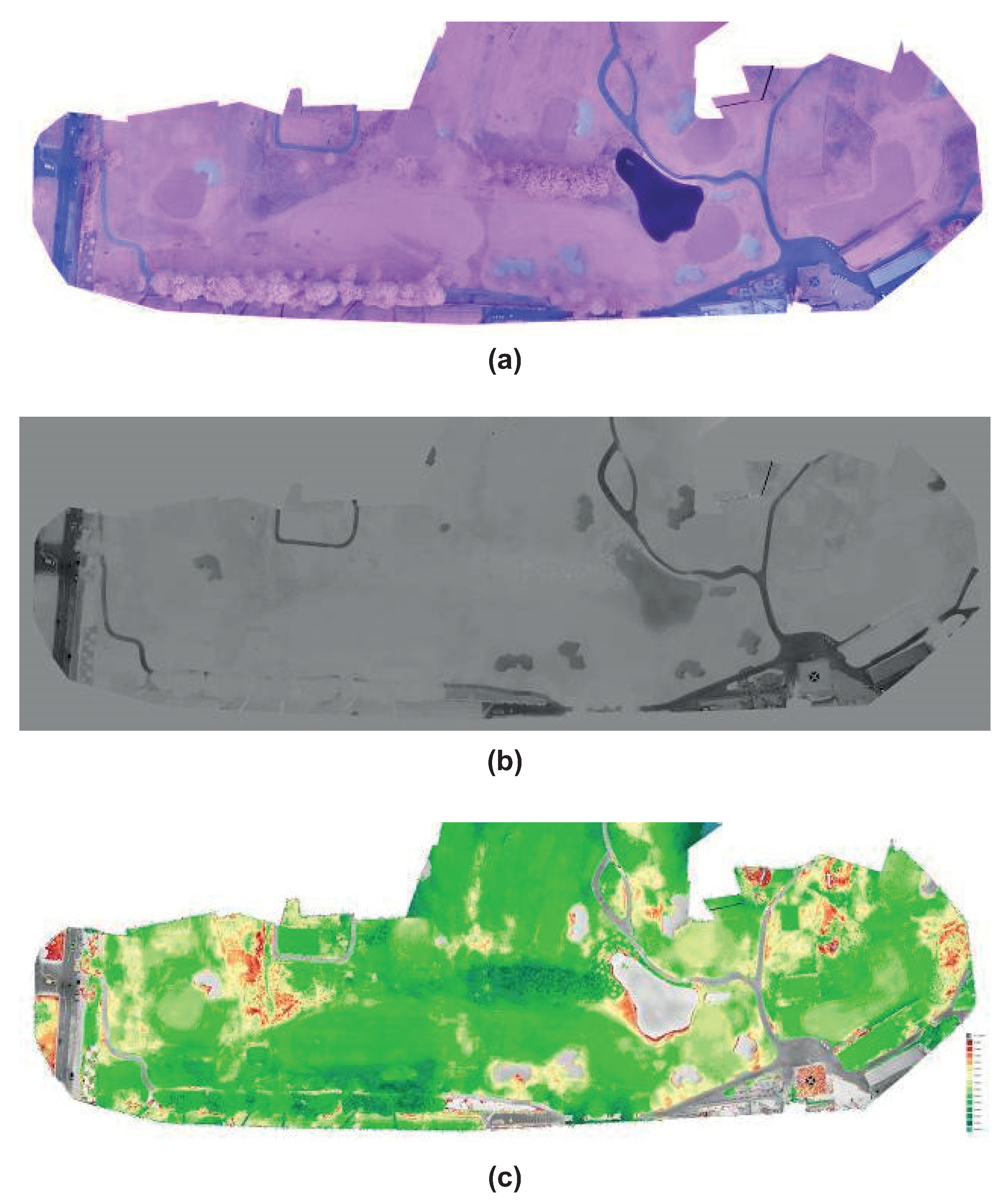 Agronomy 11 02140 g011 550