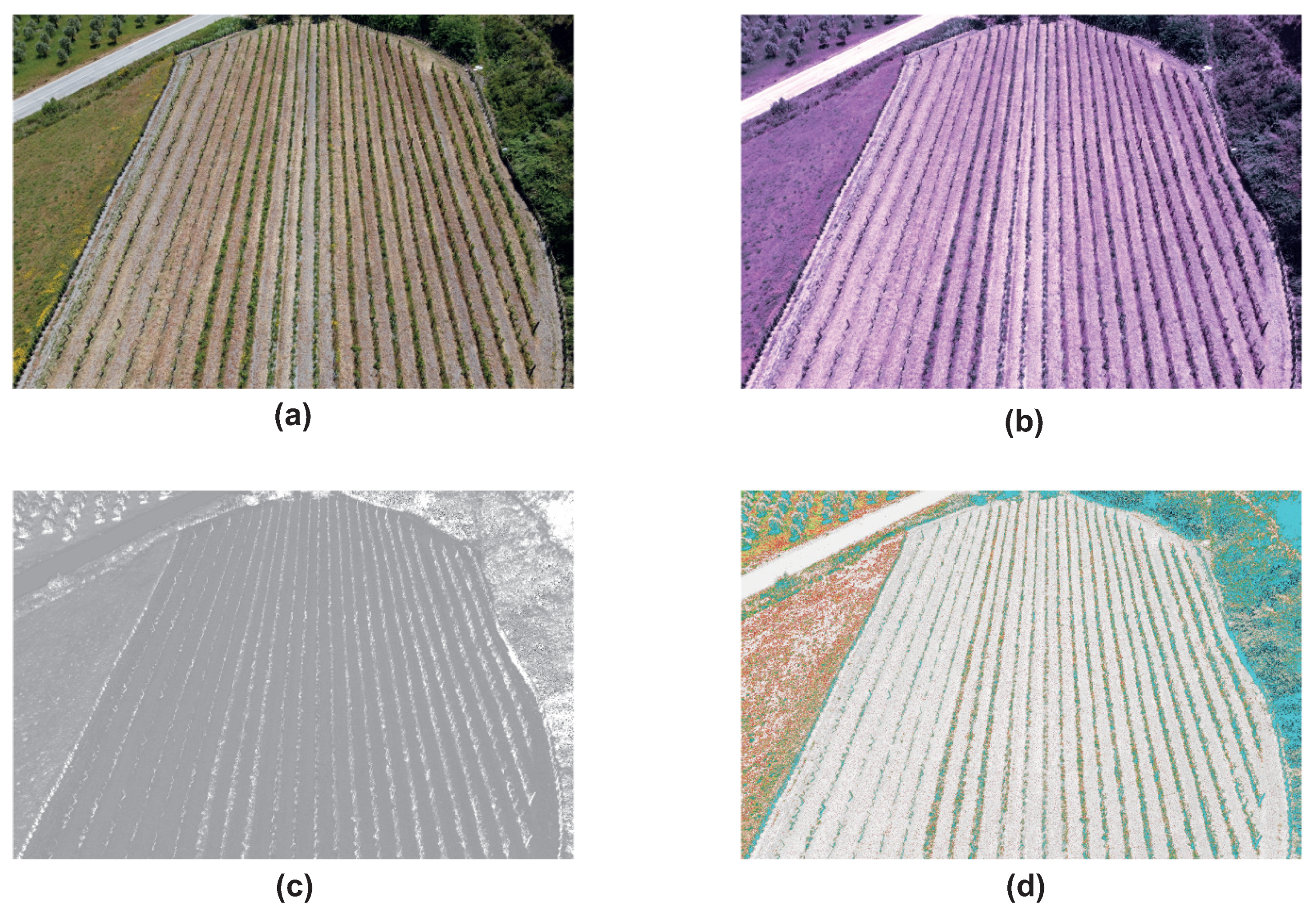 Agronomy 11 02140 g020 550