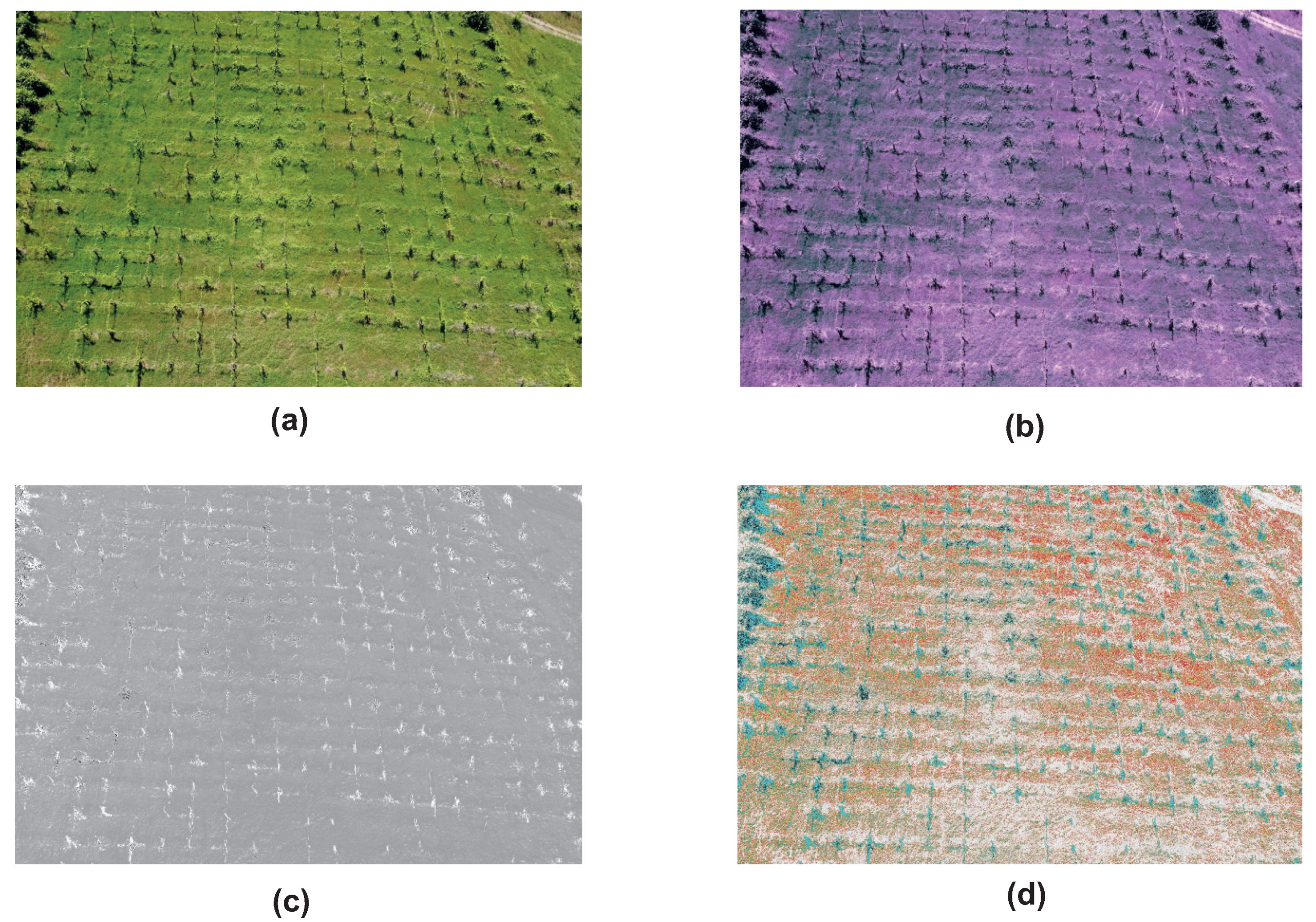 Agronomy 11 02140 g021 550