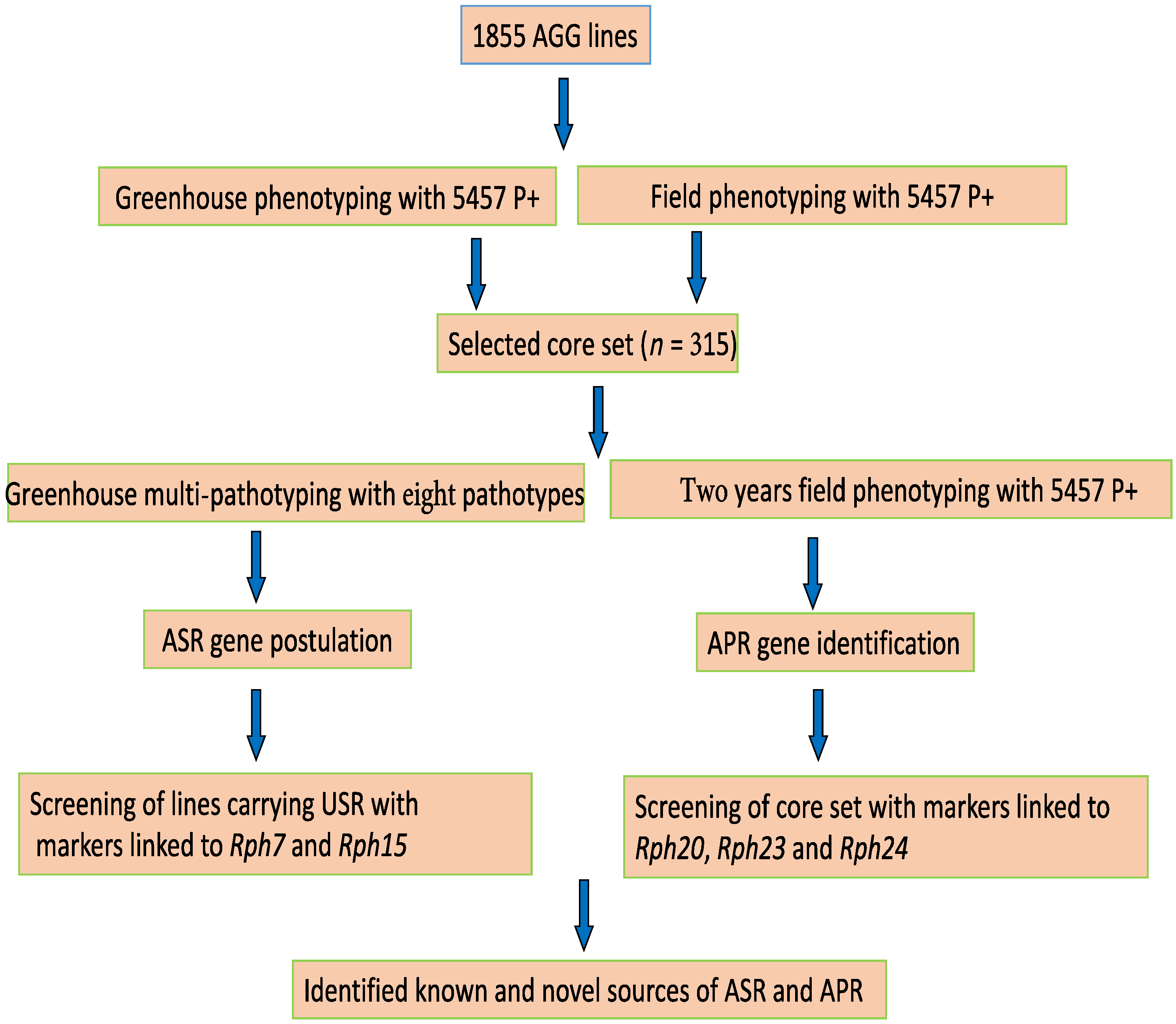 Agronomy 11 02146 g002 Agronomy 11 02146 g002