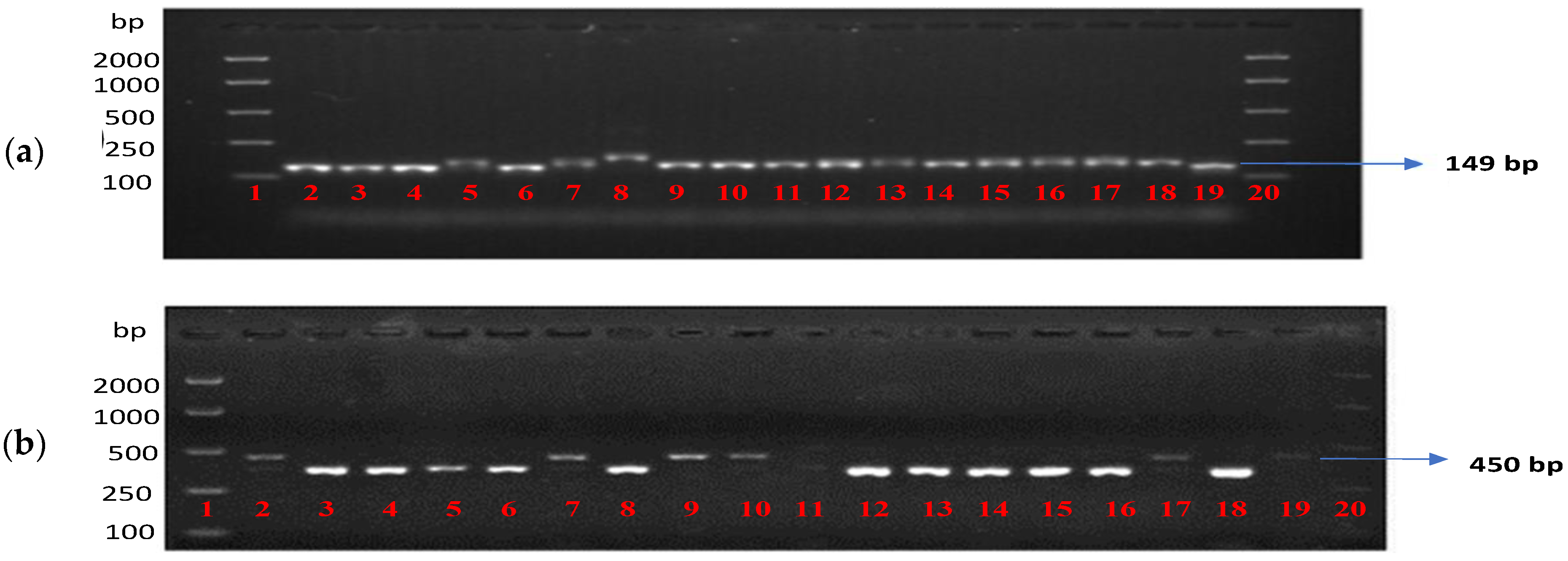 Agronomy 11 02146 g005 Agronomy 11 02146 g005