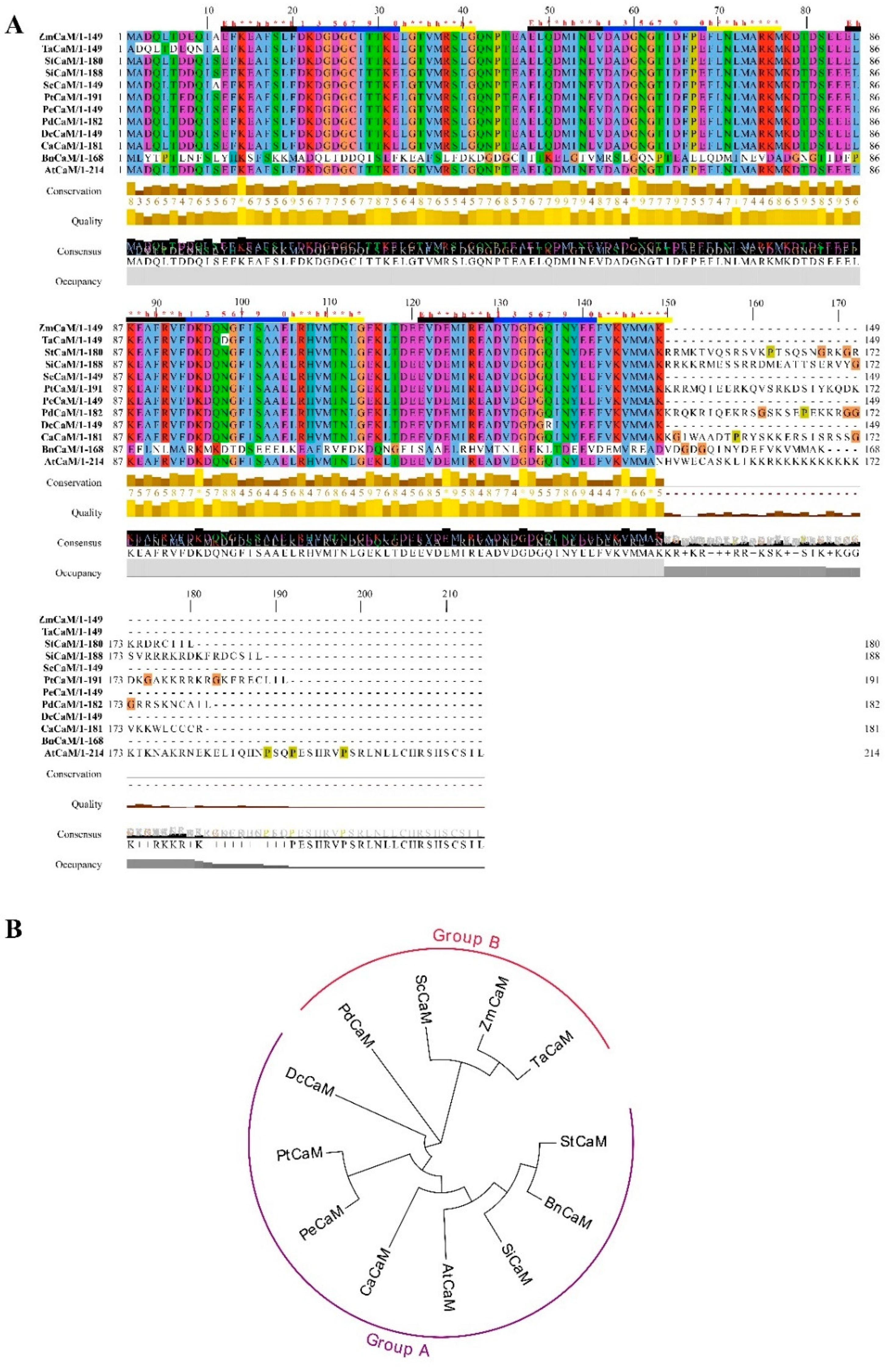 Agronomy 11 02153 g002