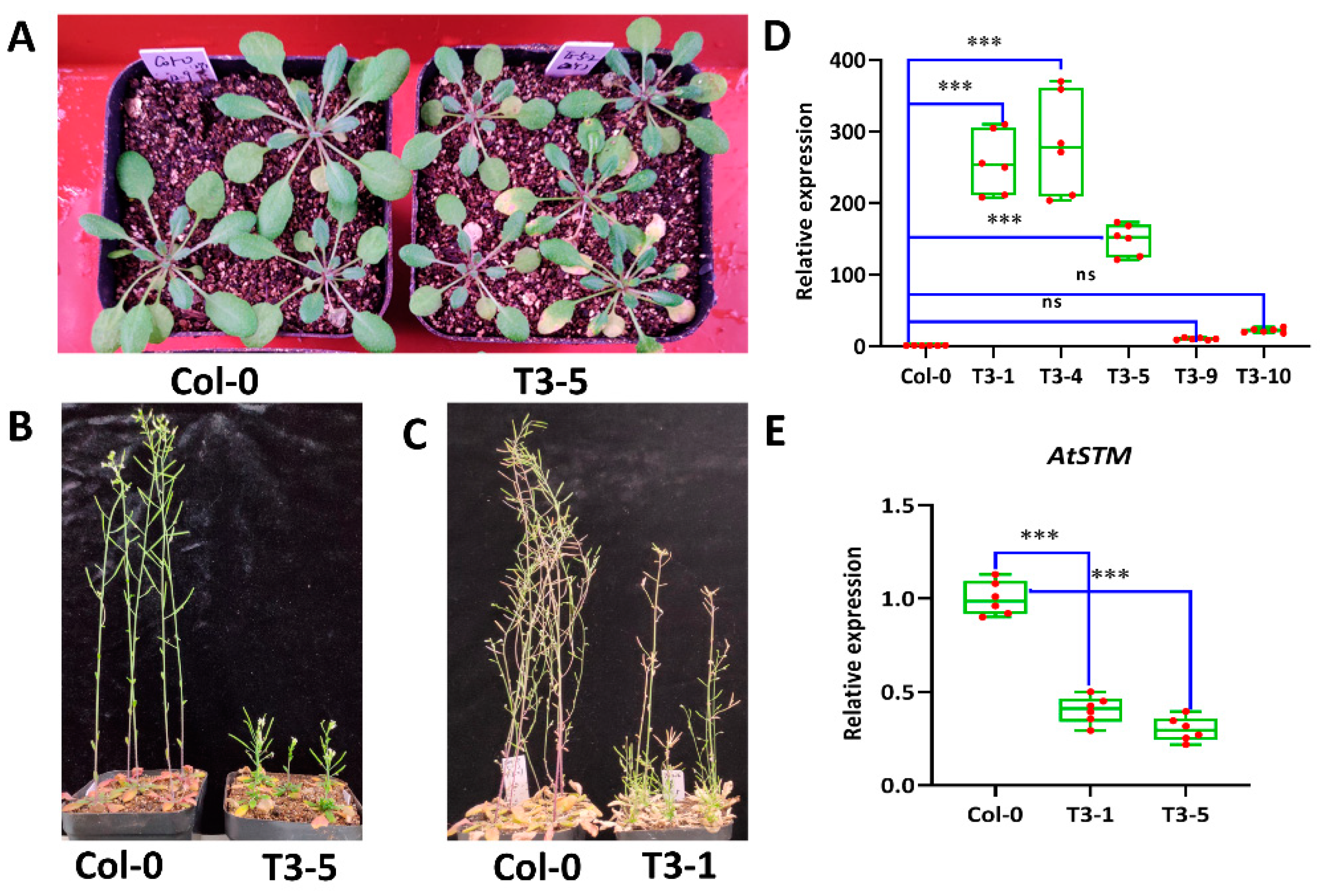Agronomy 11 02153 g006