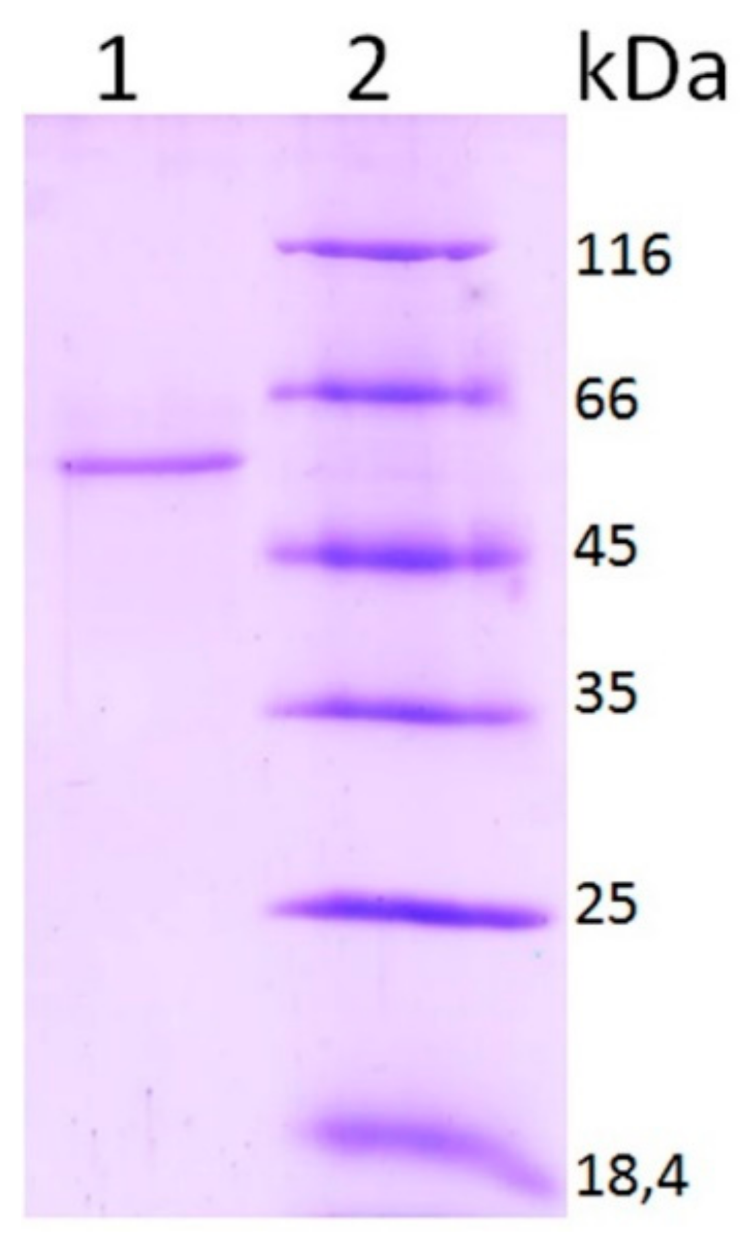Agronomy 11 02169 g002 550