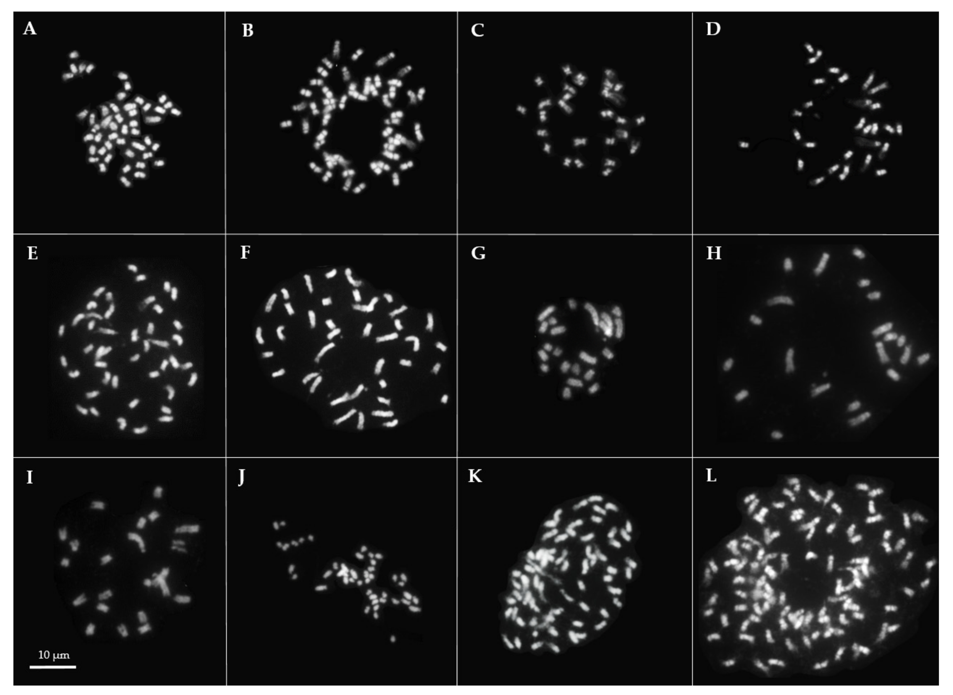 Agronomy 11 02173 g003