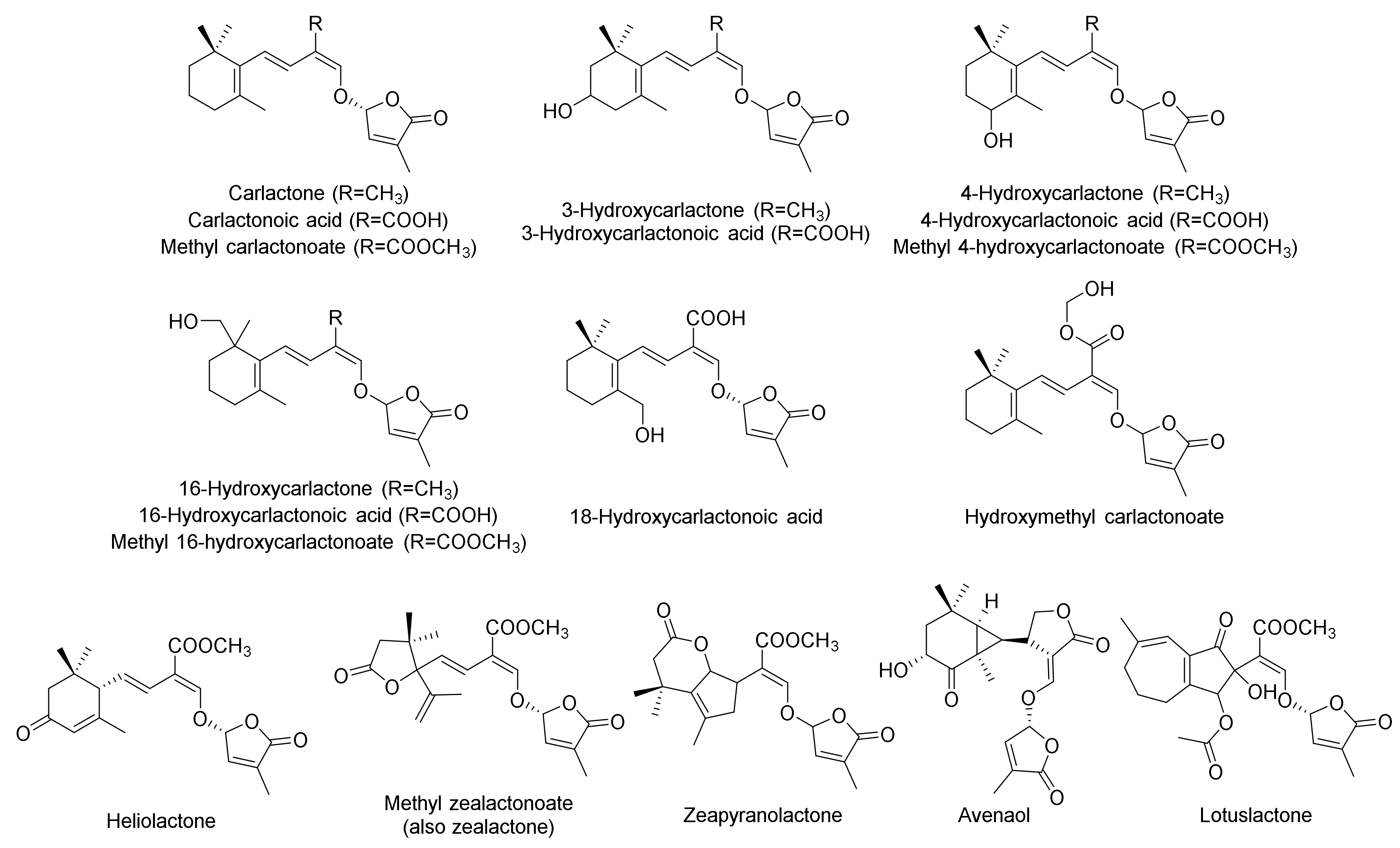 Agronomy 11 02174 g002