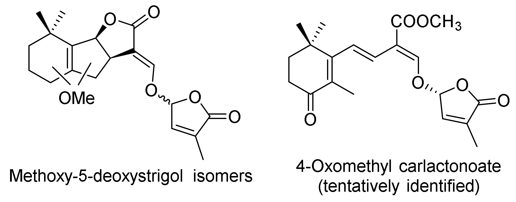 Agronomy 11 02174 g004