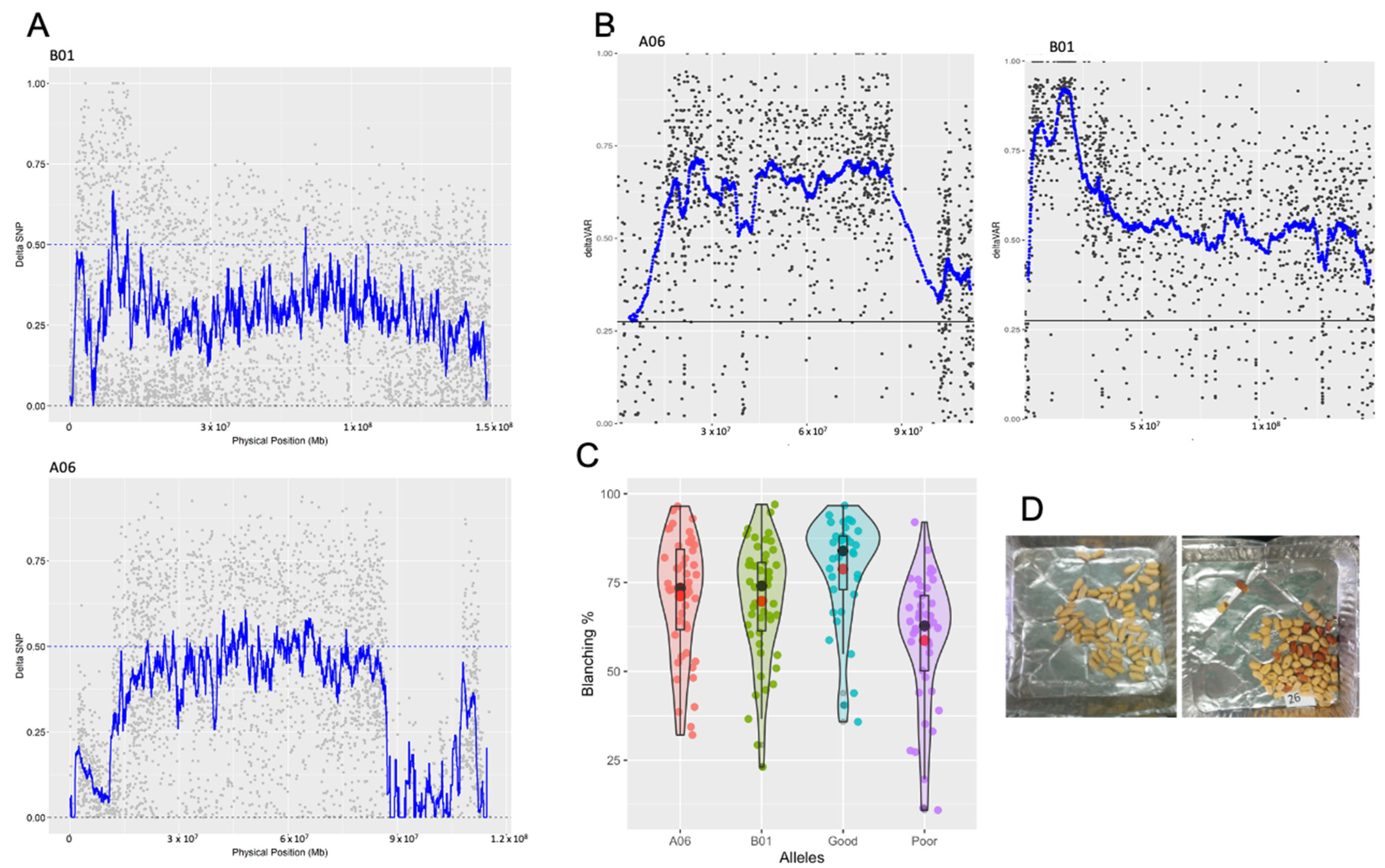 Agronomy 11 02201 g001