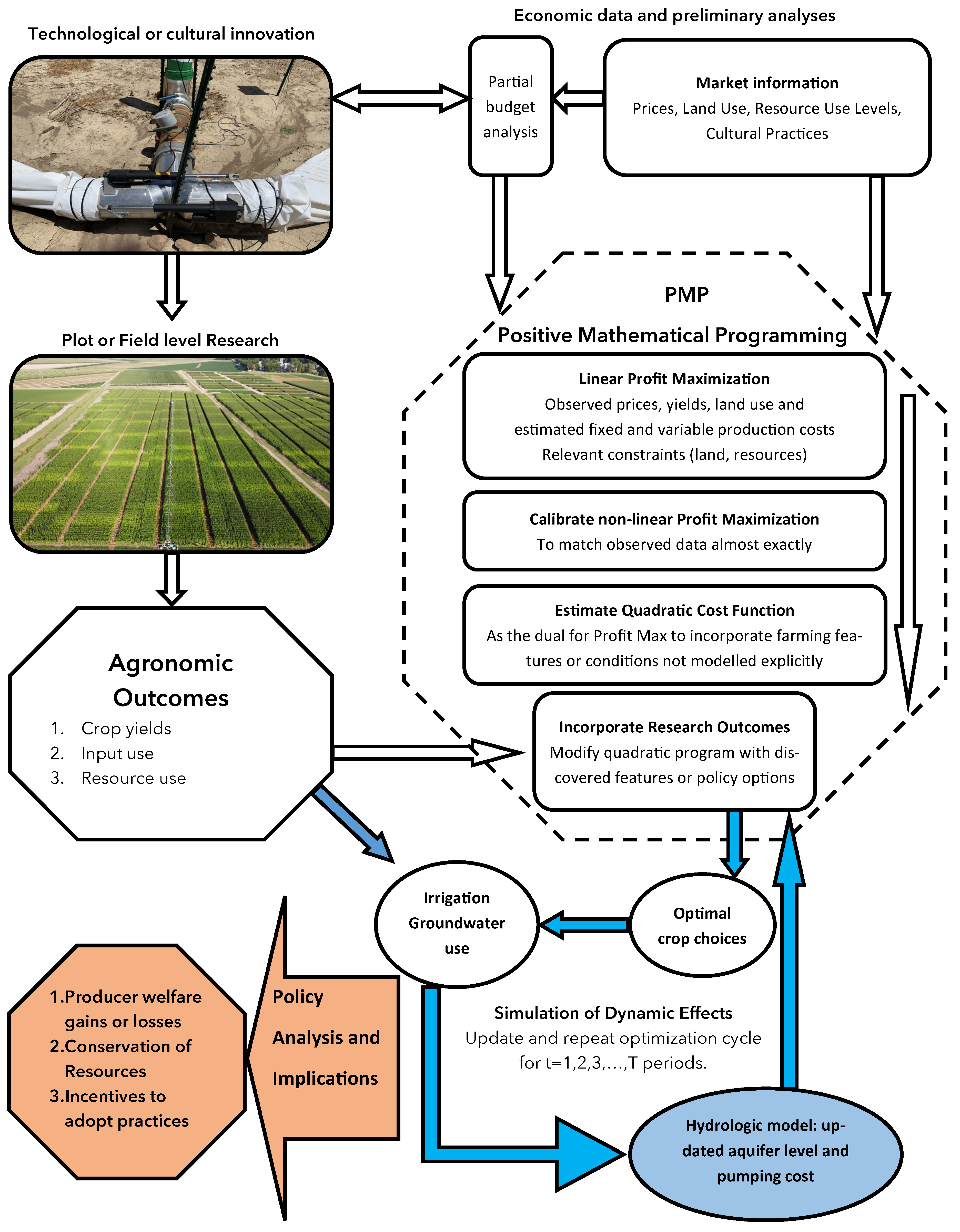 Agronomy 11 02204 g003